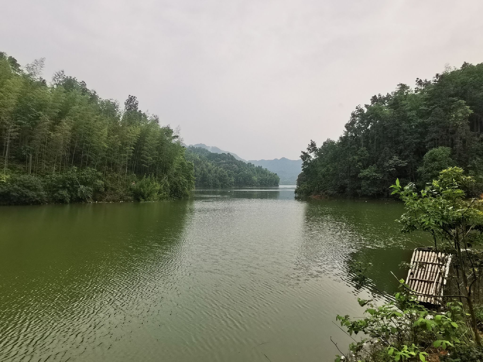 白鹭湖国家森林公园旅行图片 1