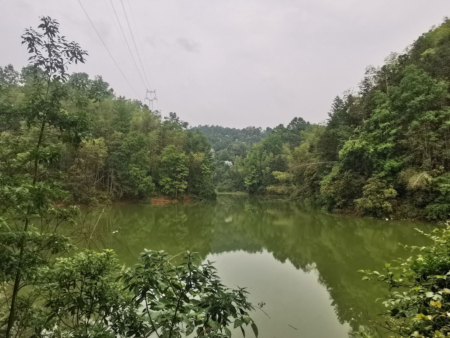 白鹭湖国家森林公园旅行图片 2