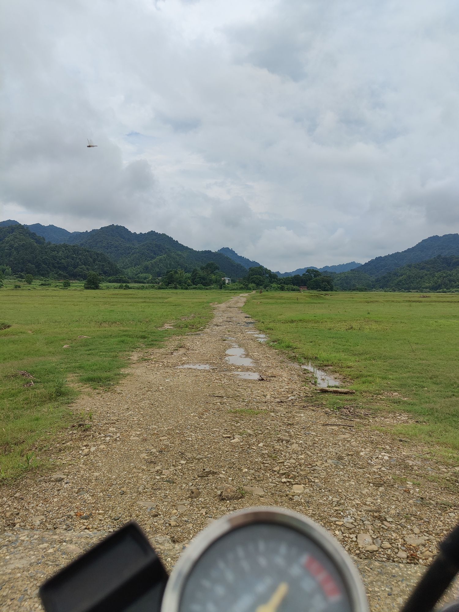 白鹭湖国家森林公园旅行图片 2