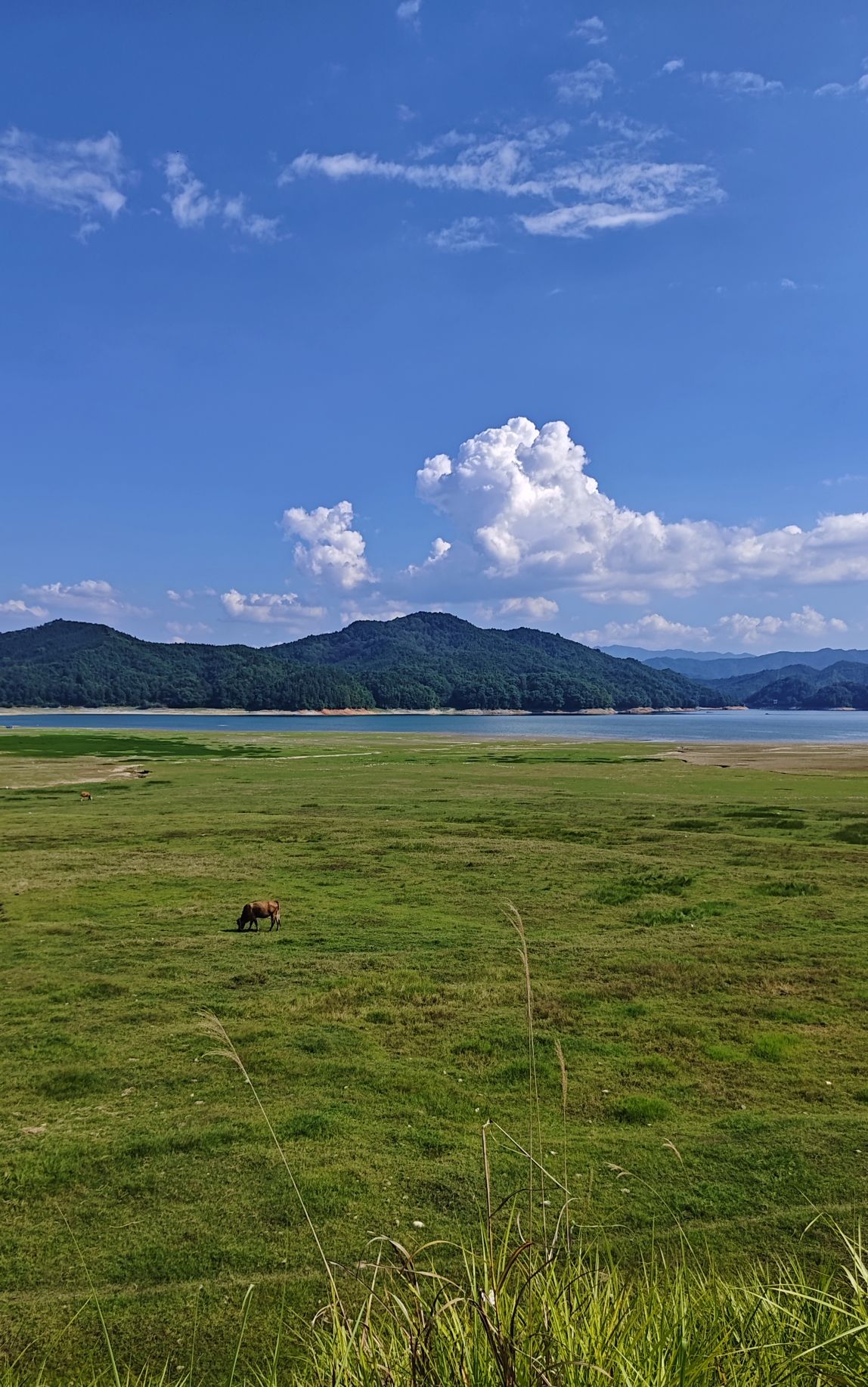 武功湖旅行图片 2