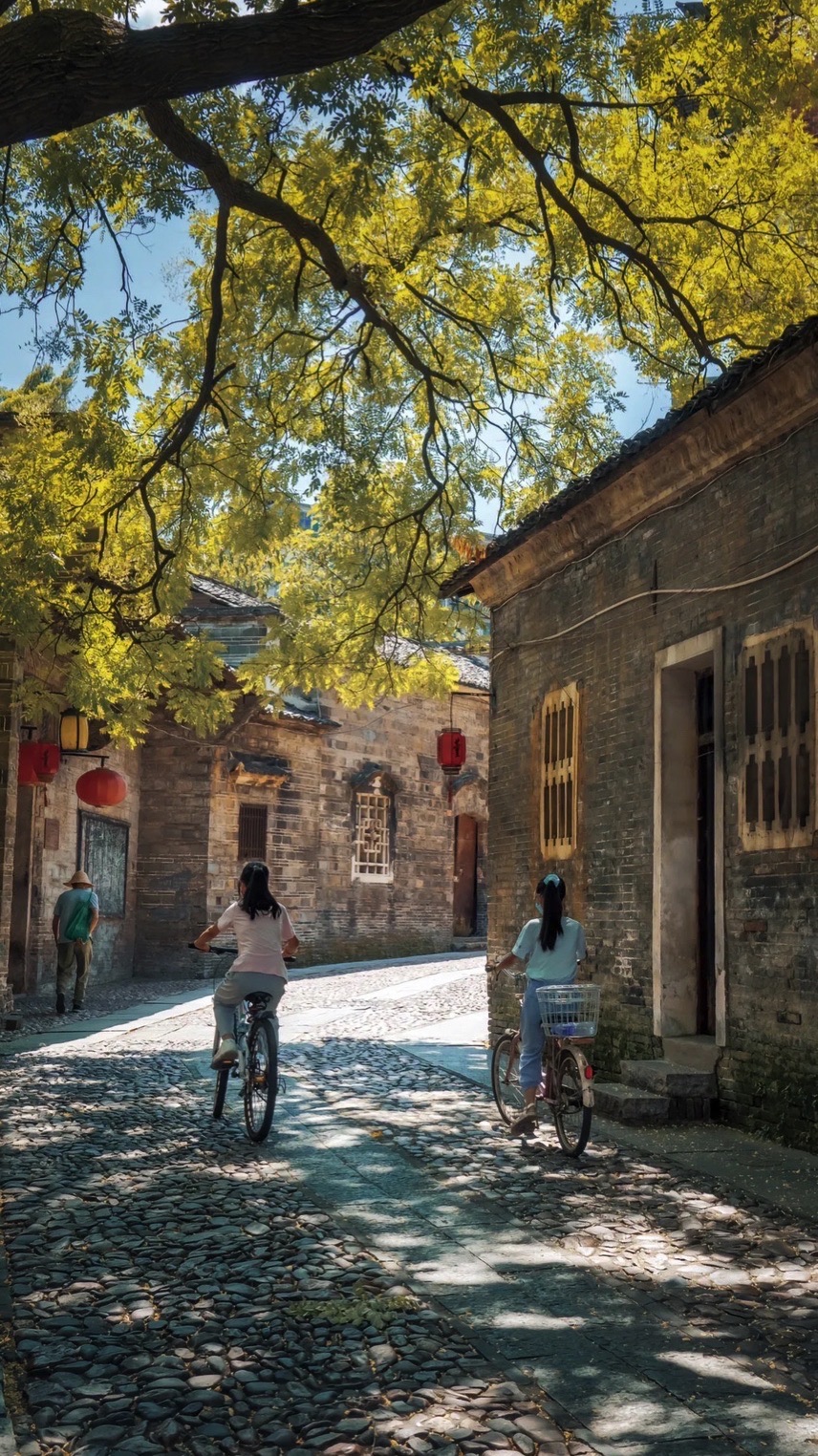 南门广场旅行图片 3