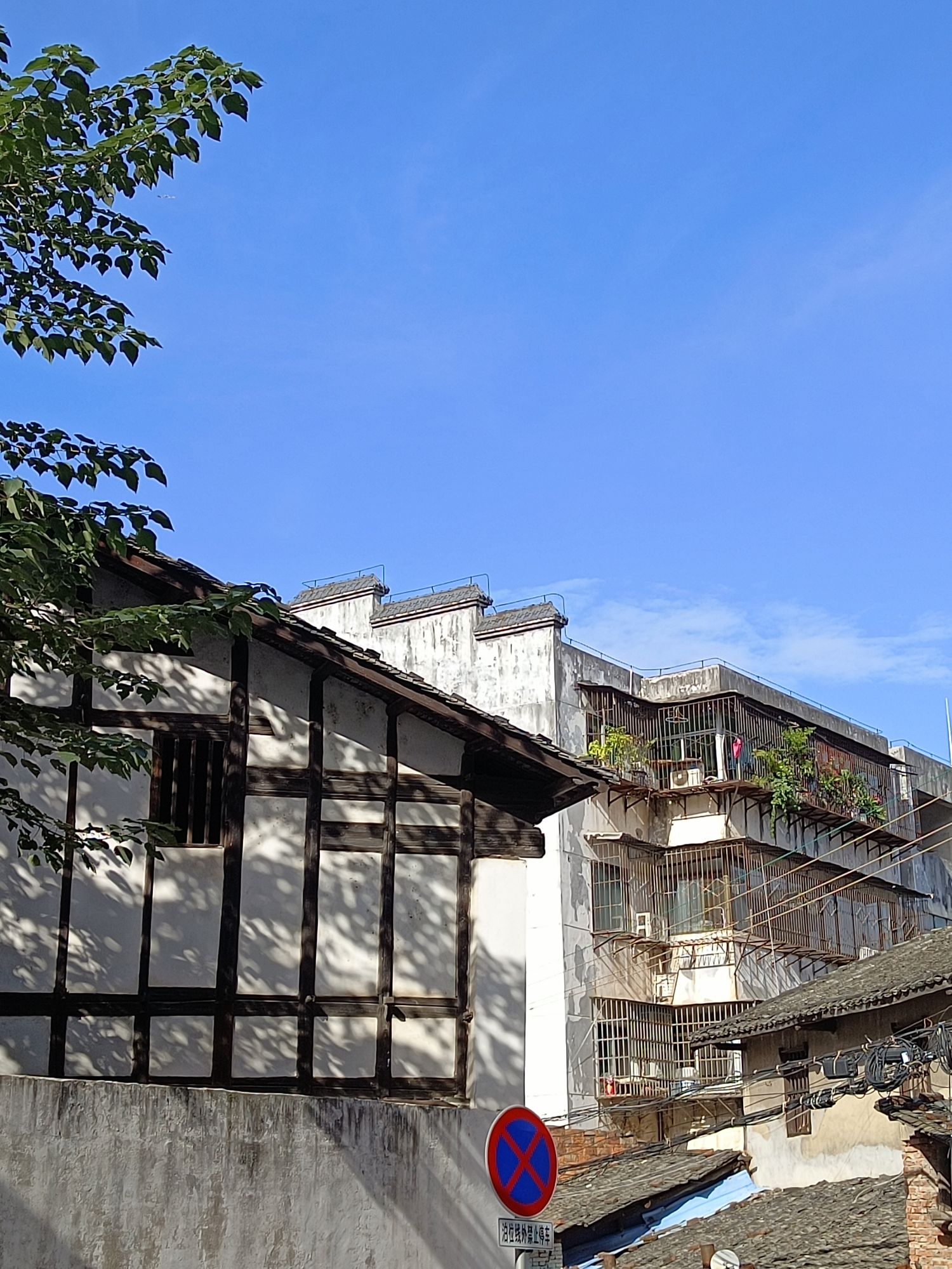 龟角尾公园旅行图片 2