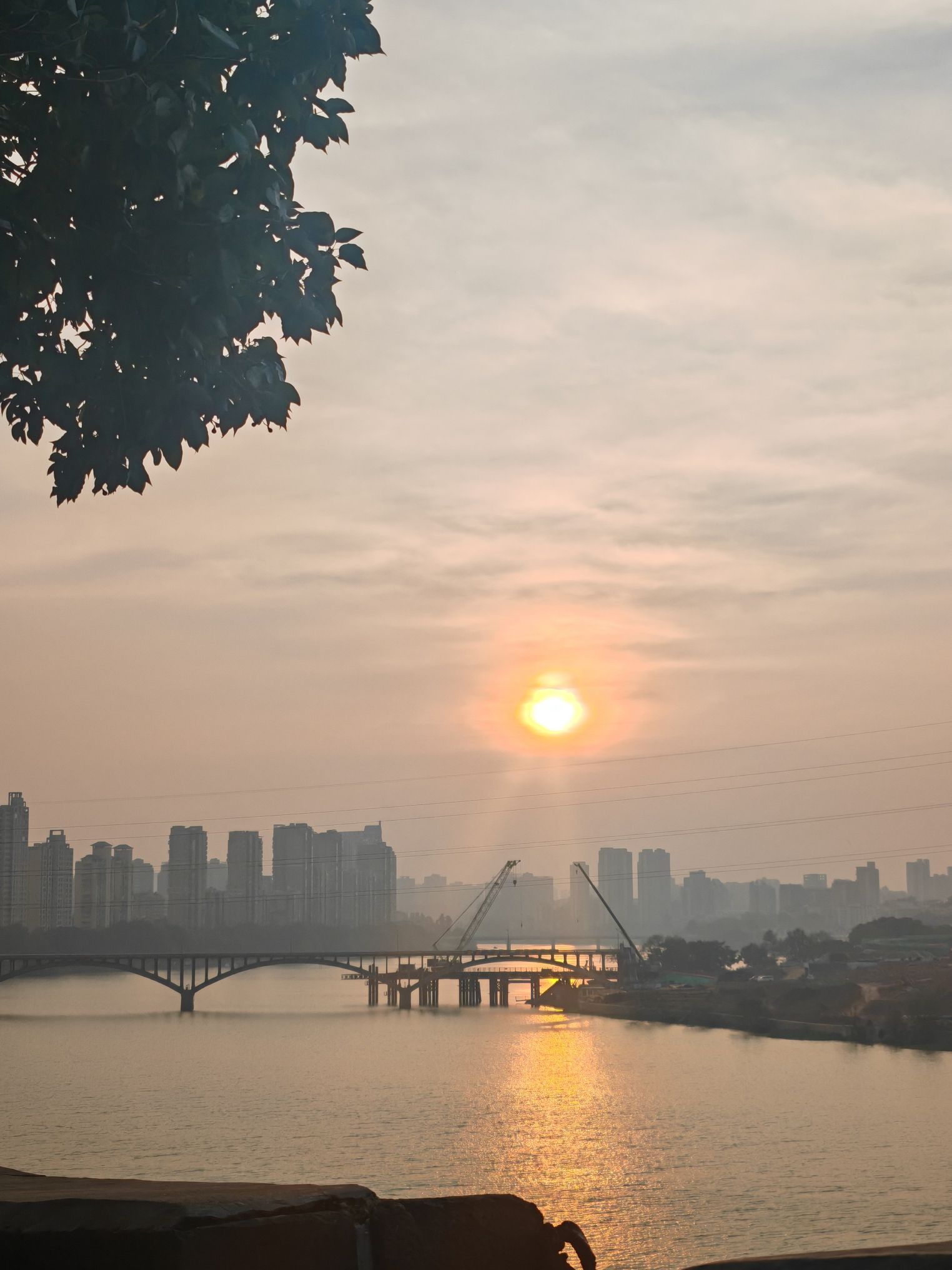 龟角尾公园旅行图片 2
