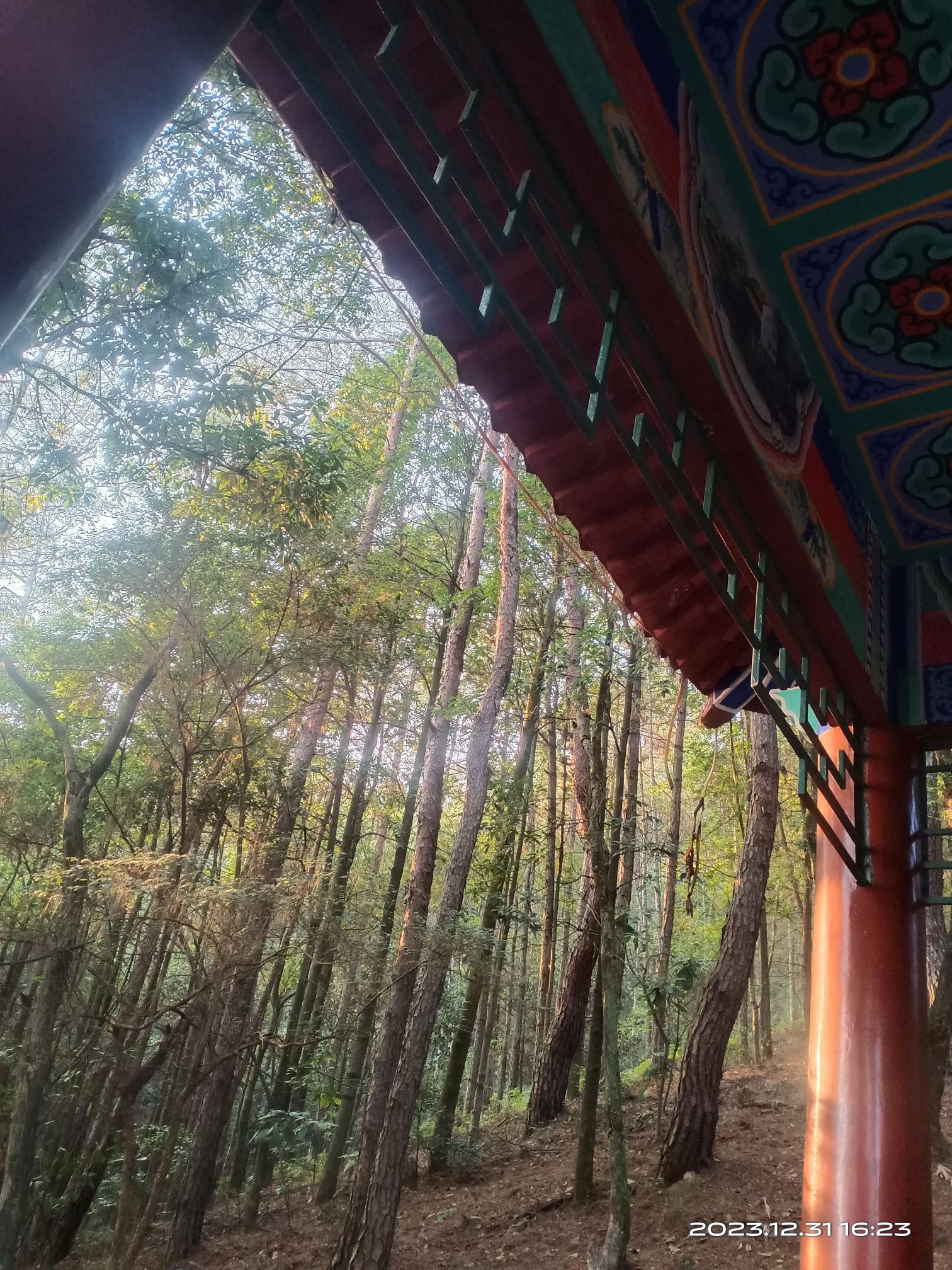 岚山公园旅行图片 2