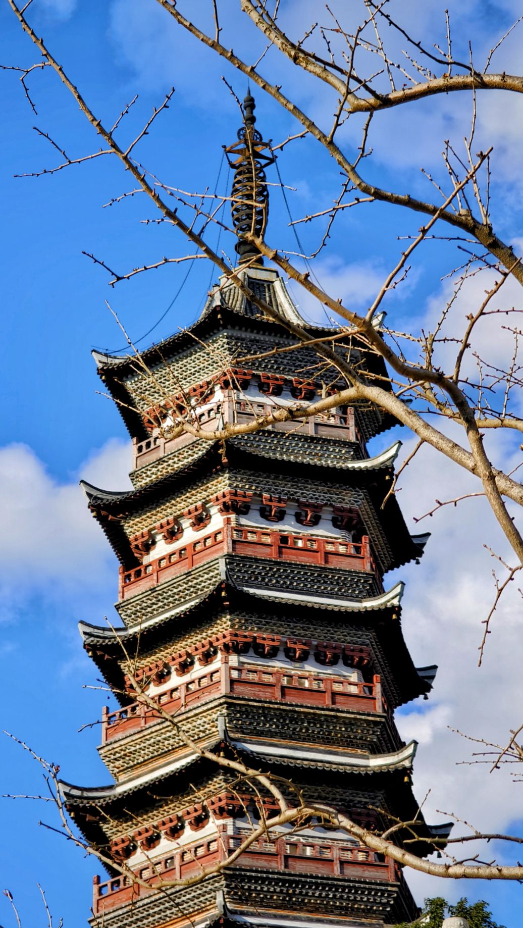 无为公园旅行图片 2