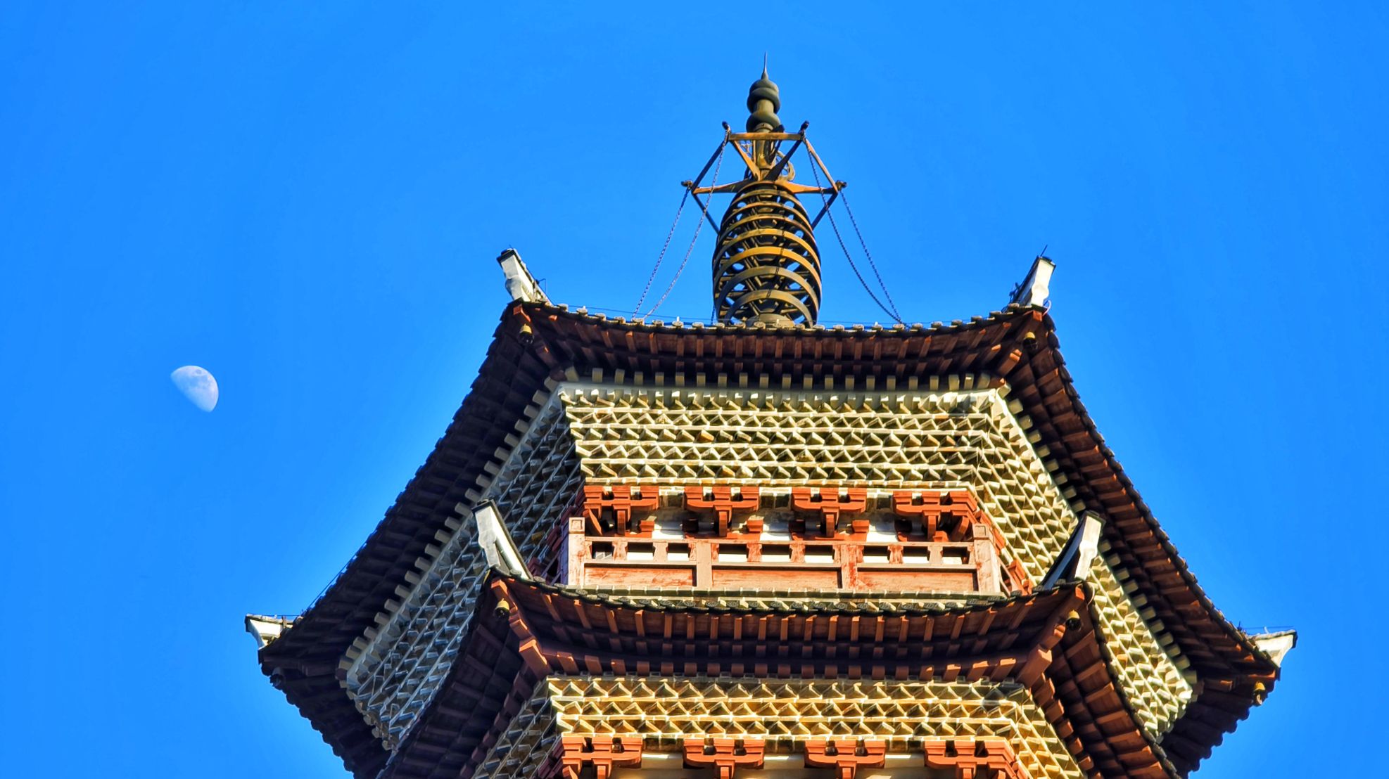 无为公园旅行图片 3