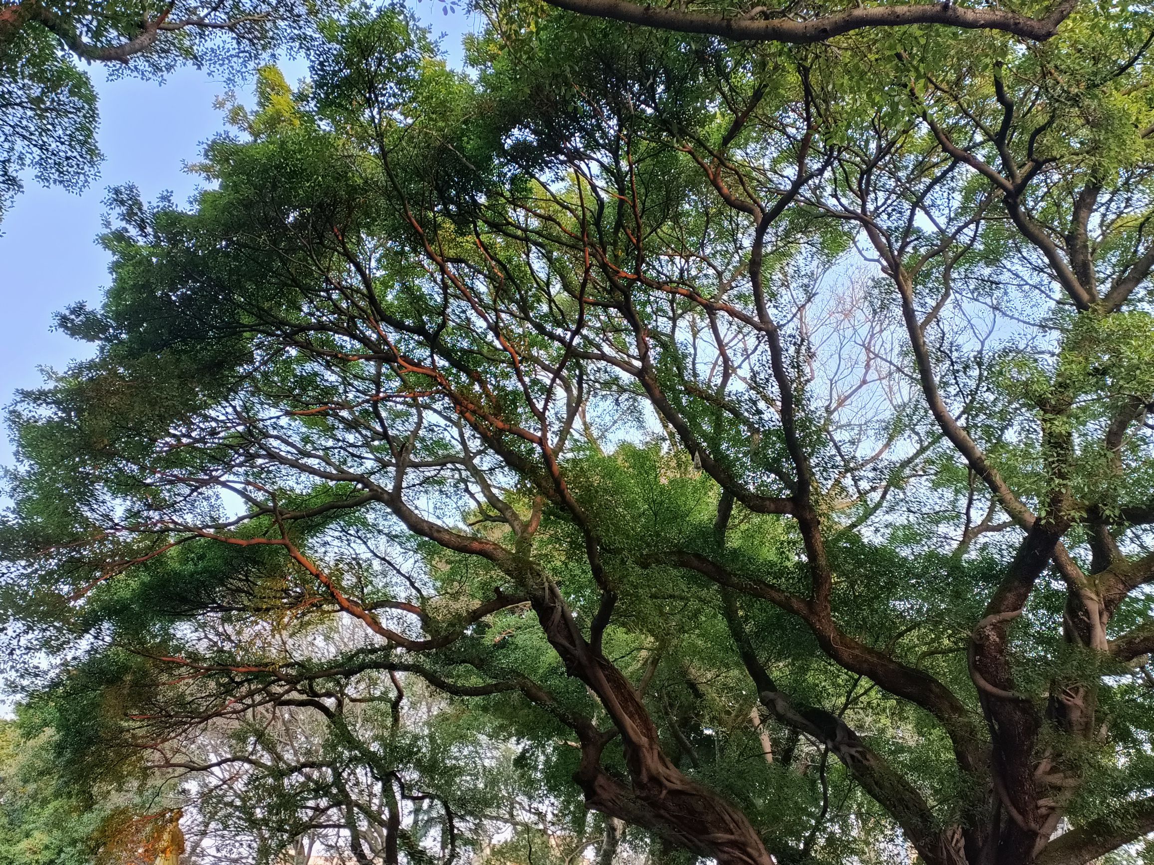 赣州公园旅行图片 1