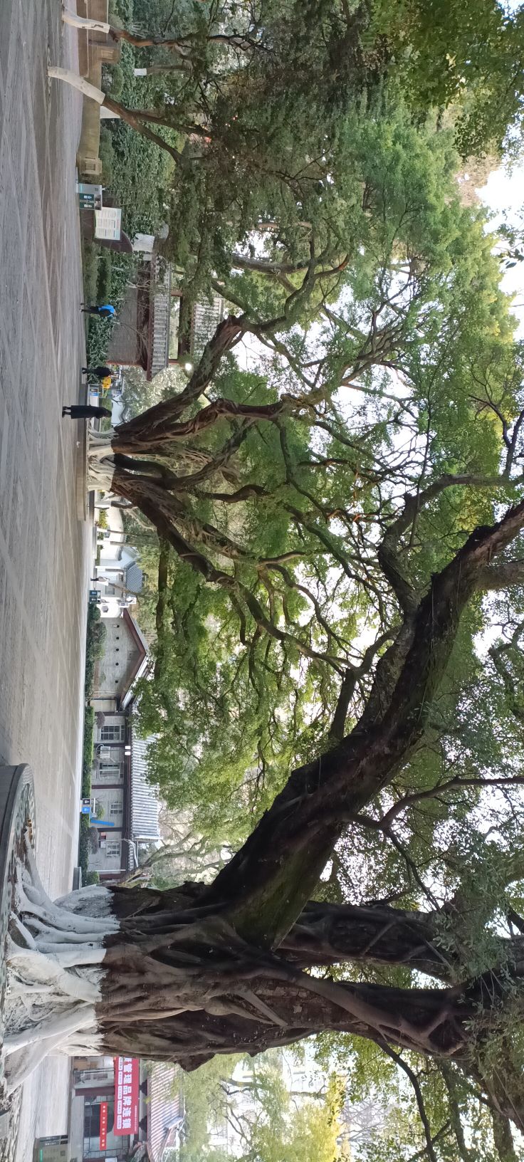 赣州公园旅行图片 3