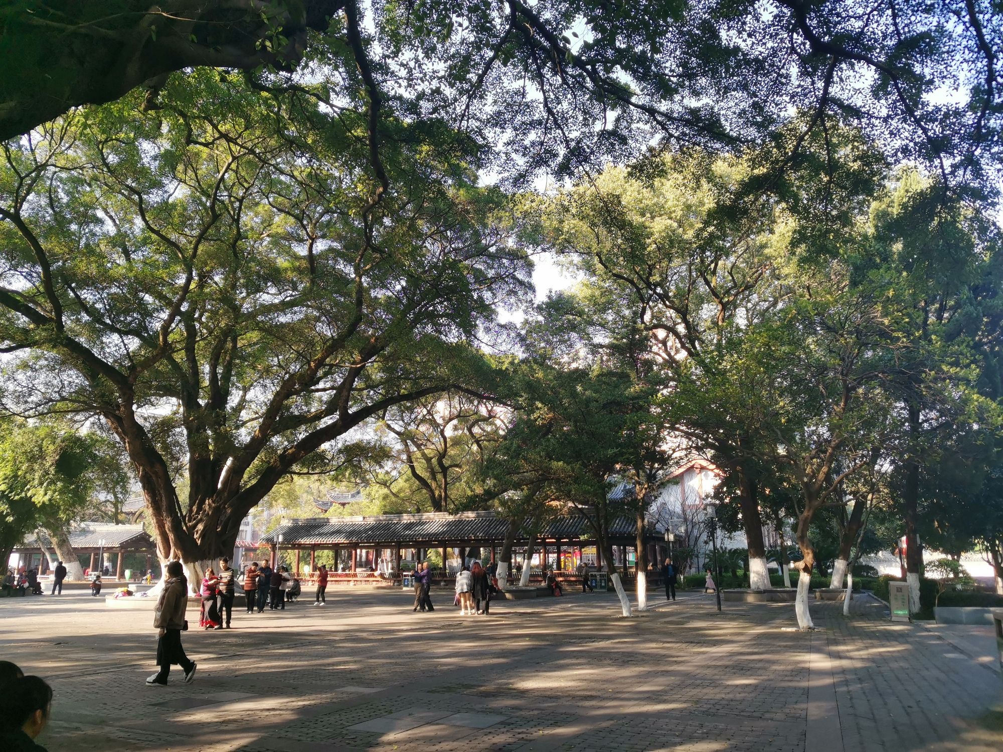 赣州公园旅行图片 2