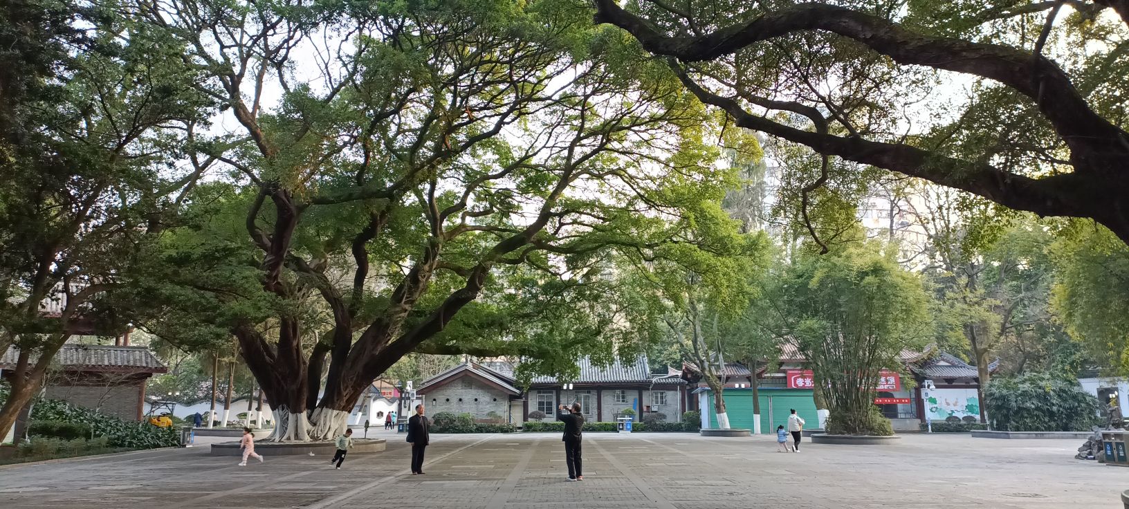 赣州公园旅行图片 2