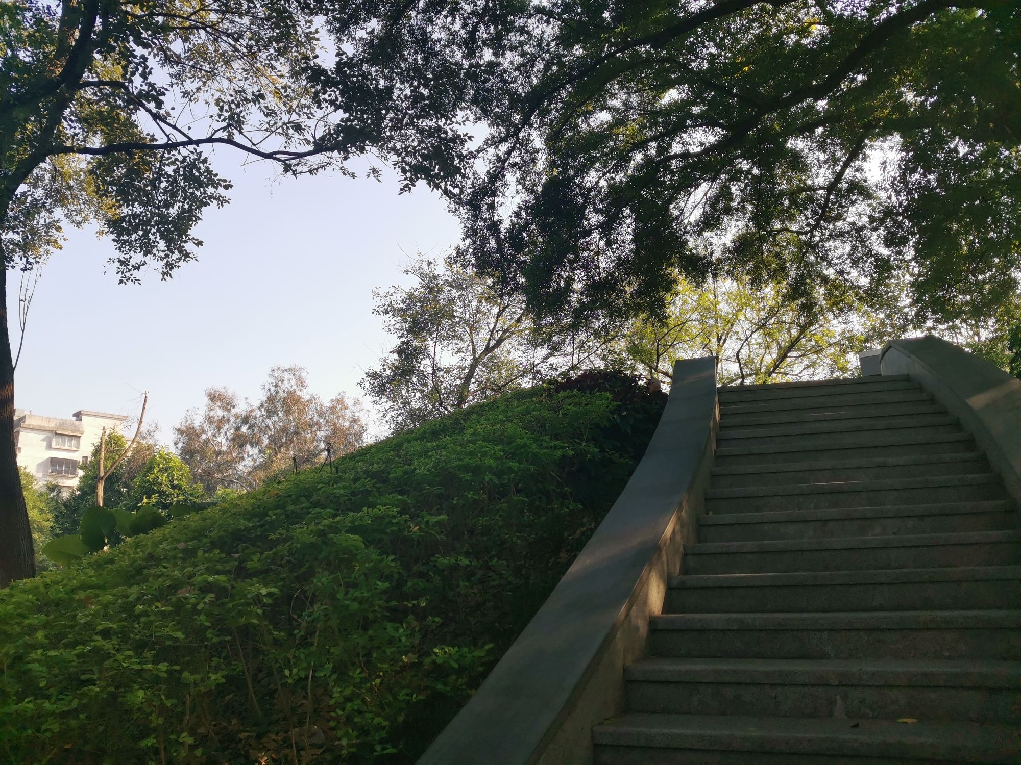 赣州公园旅行图片 3