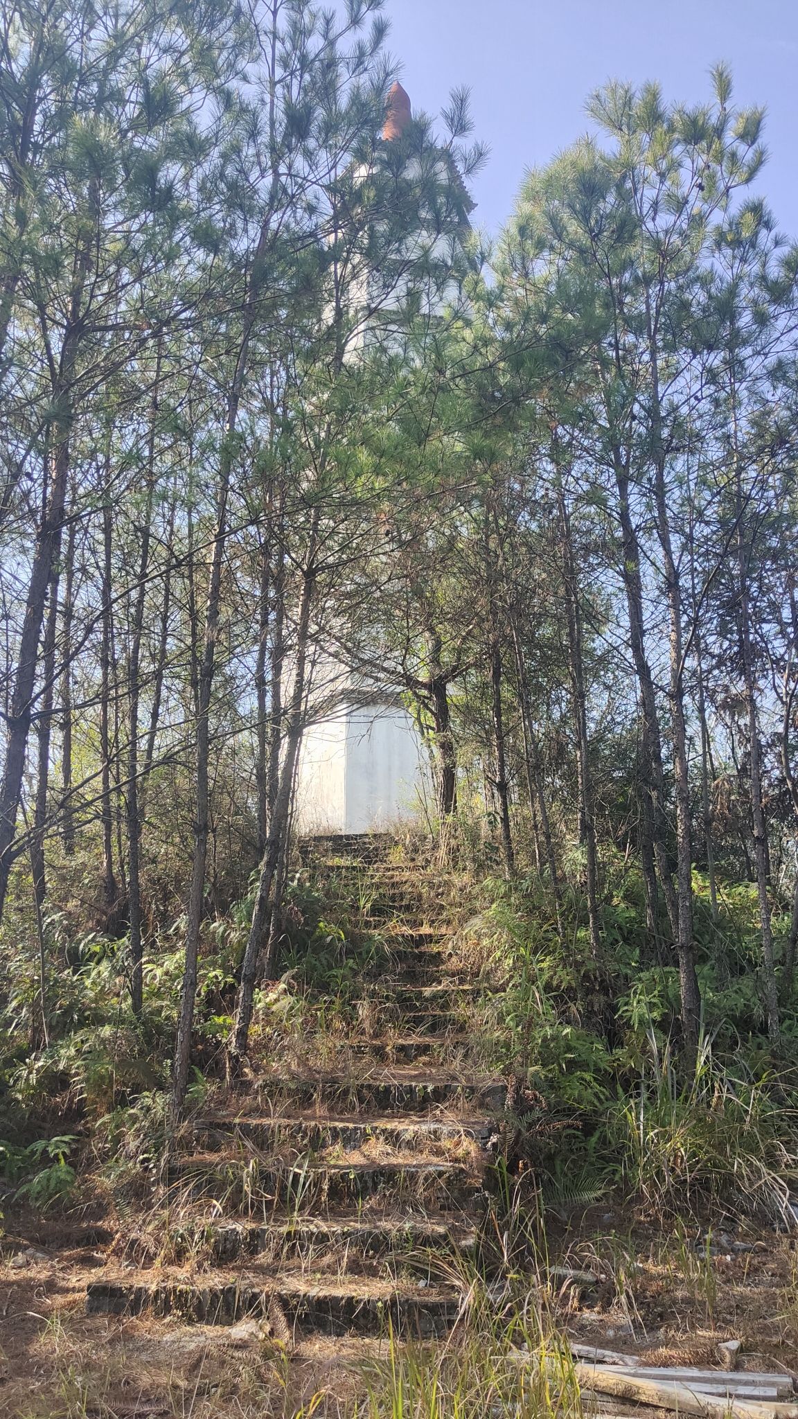 鹏图塔旅行图片 1