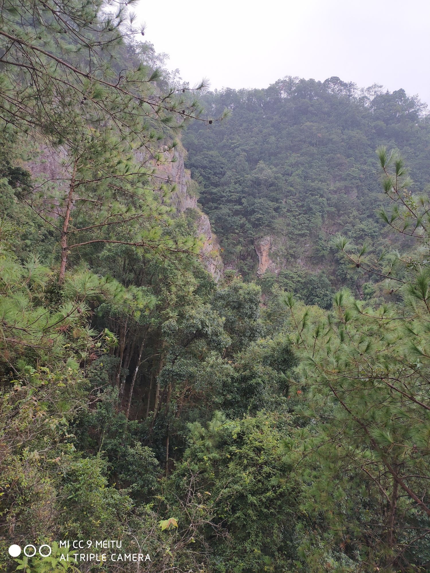 莲花岩旅行图片 3