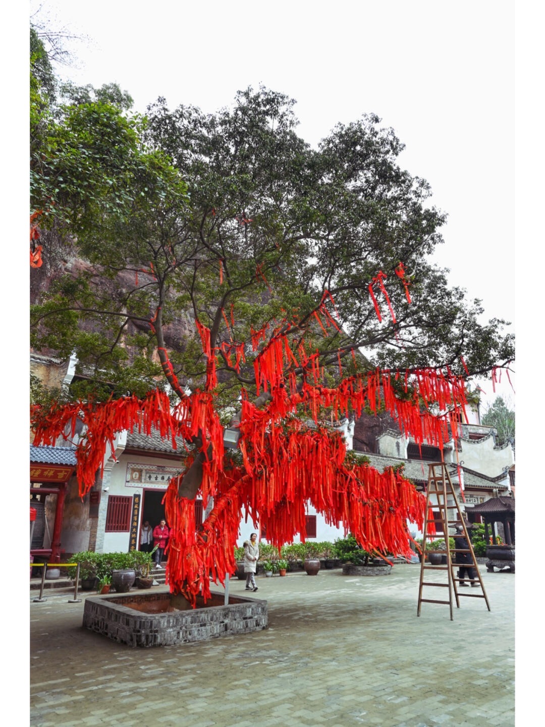 罗田岩旅行图片 3