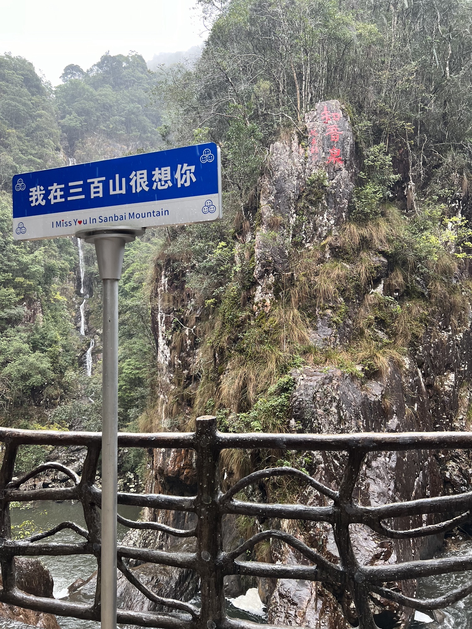 三百山国家级风景名胜区旅行图片 1