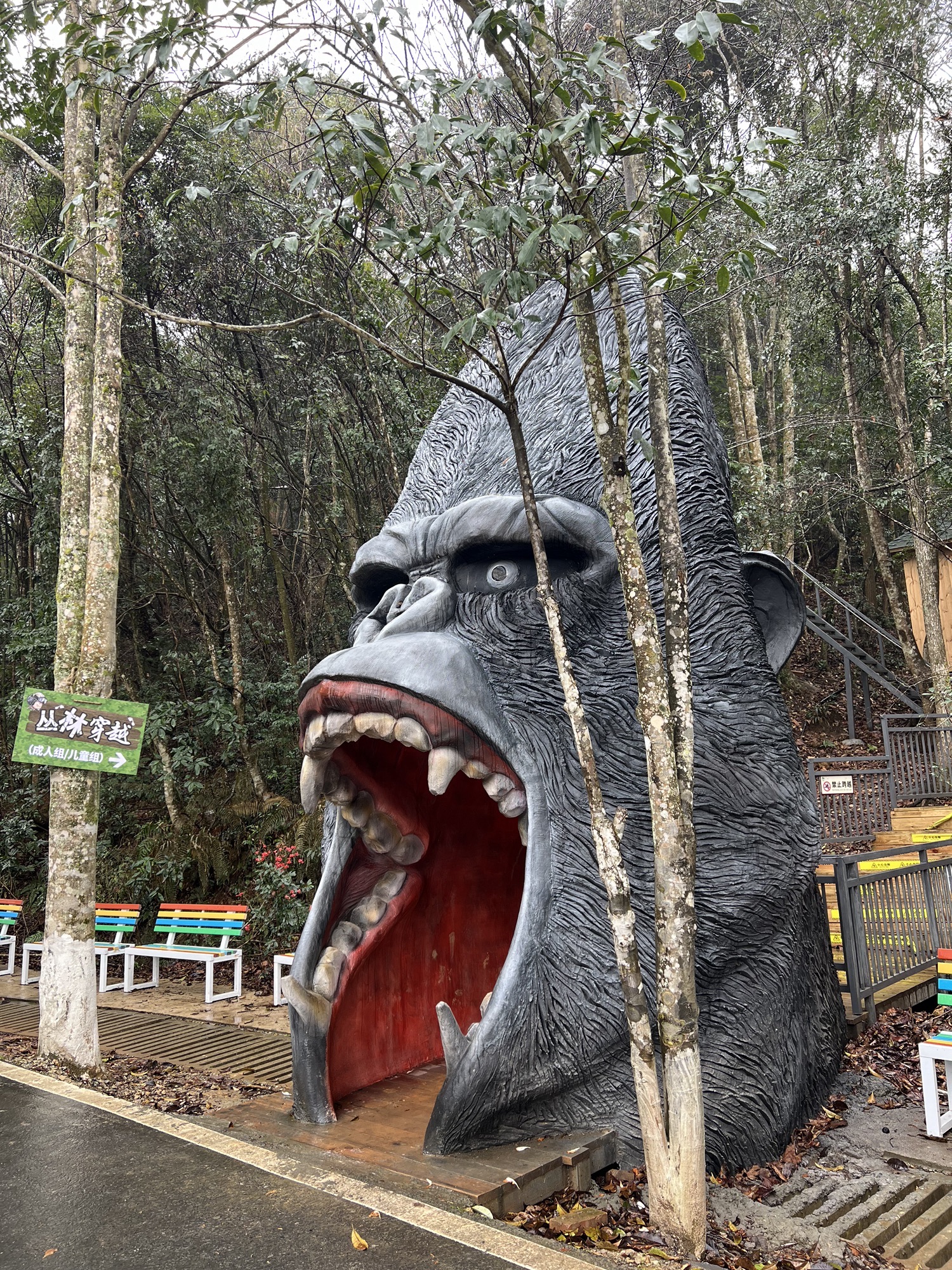 三百山国家级风景名胜区旅行图片 3