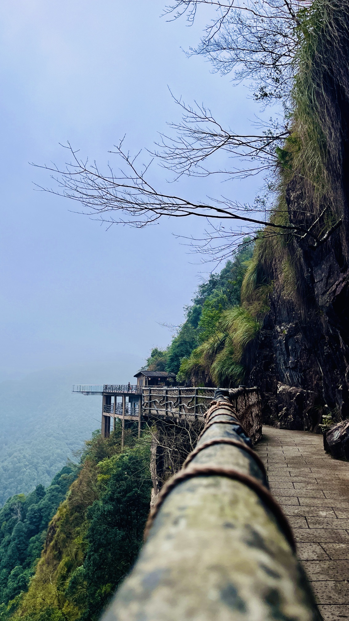 三百山国家级风景名胜区旅行图片 2