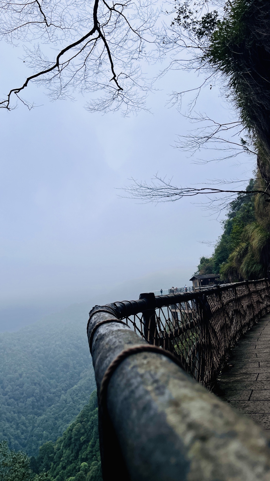 三百山国家级风景名胜区旅行图片 1