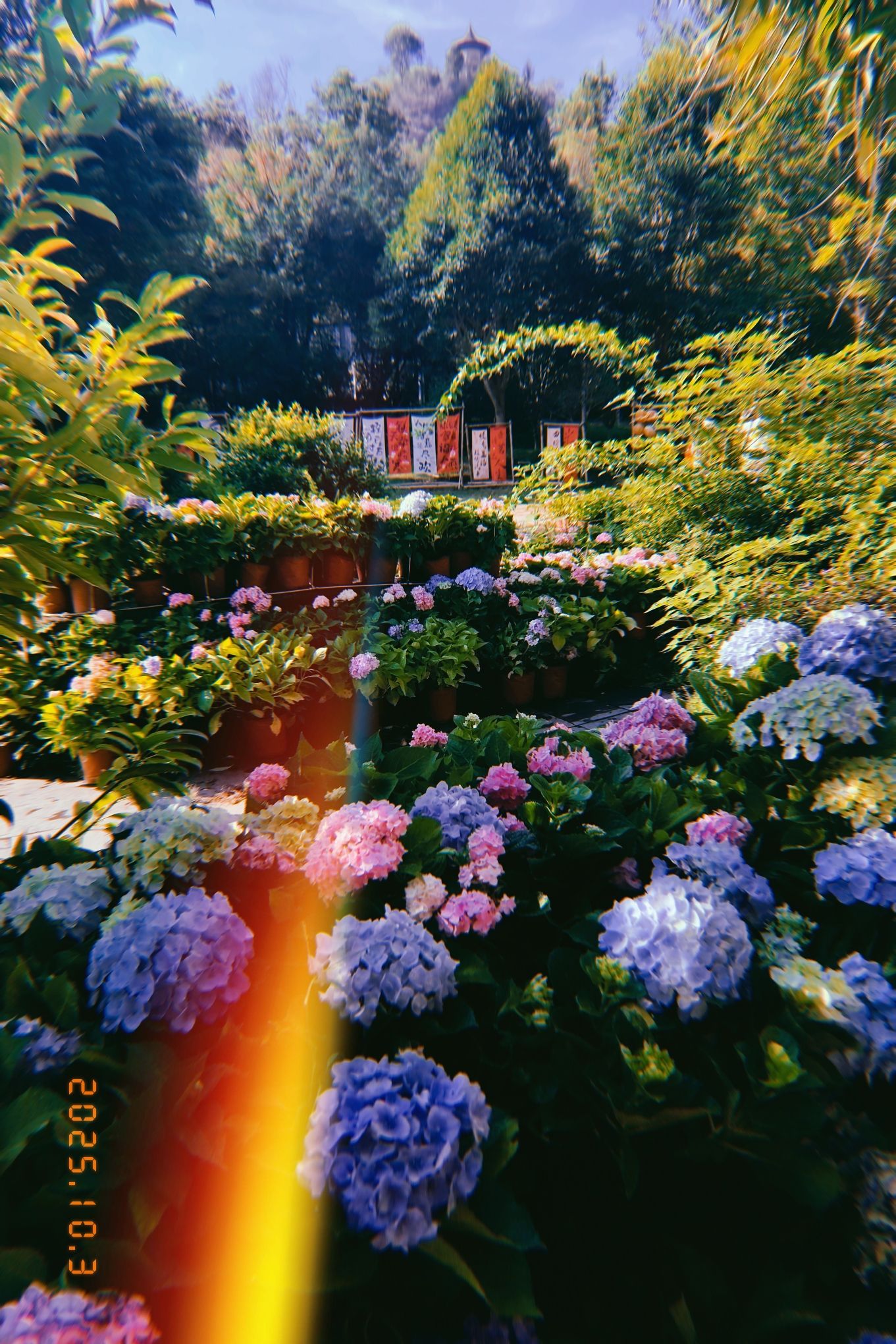赣州通天岩风景名胜区旅行图片 1