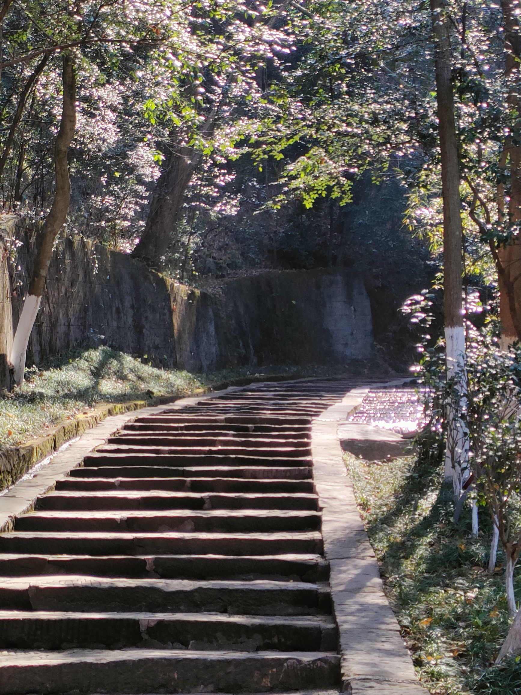 赣州通天岩风景名胜区旅行图片 2