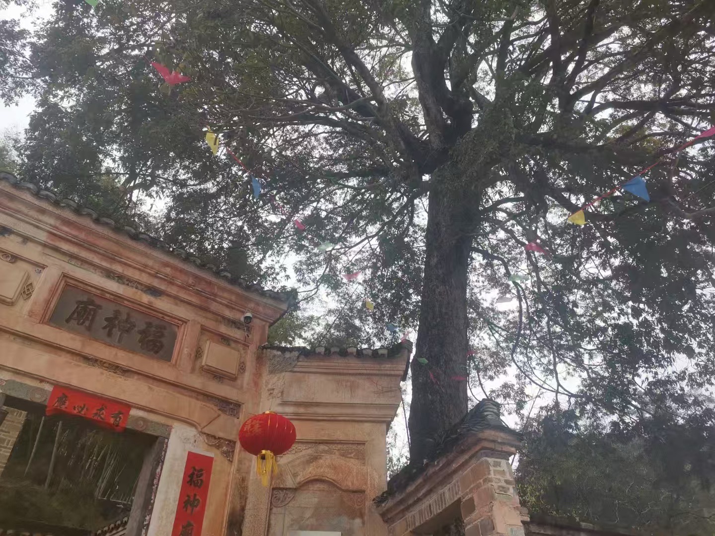 白鹭古村旅行图片 2