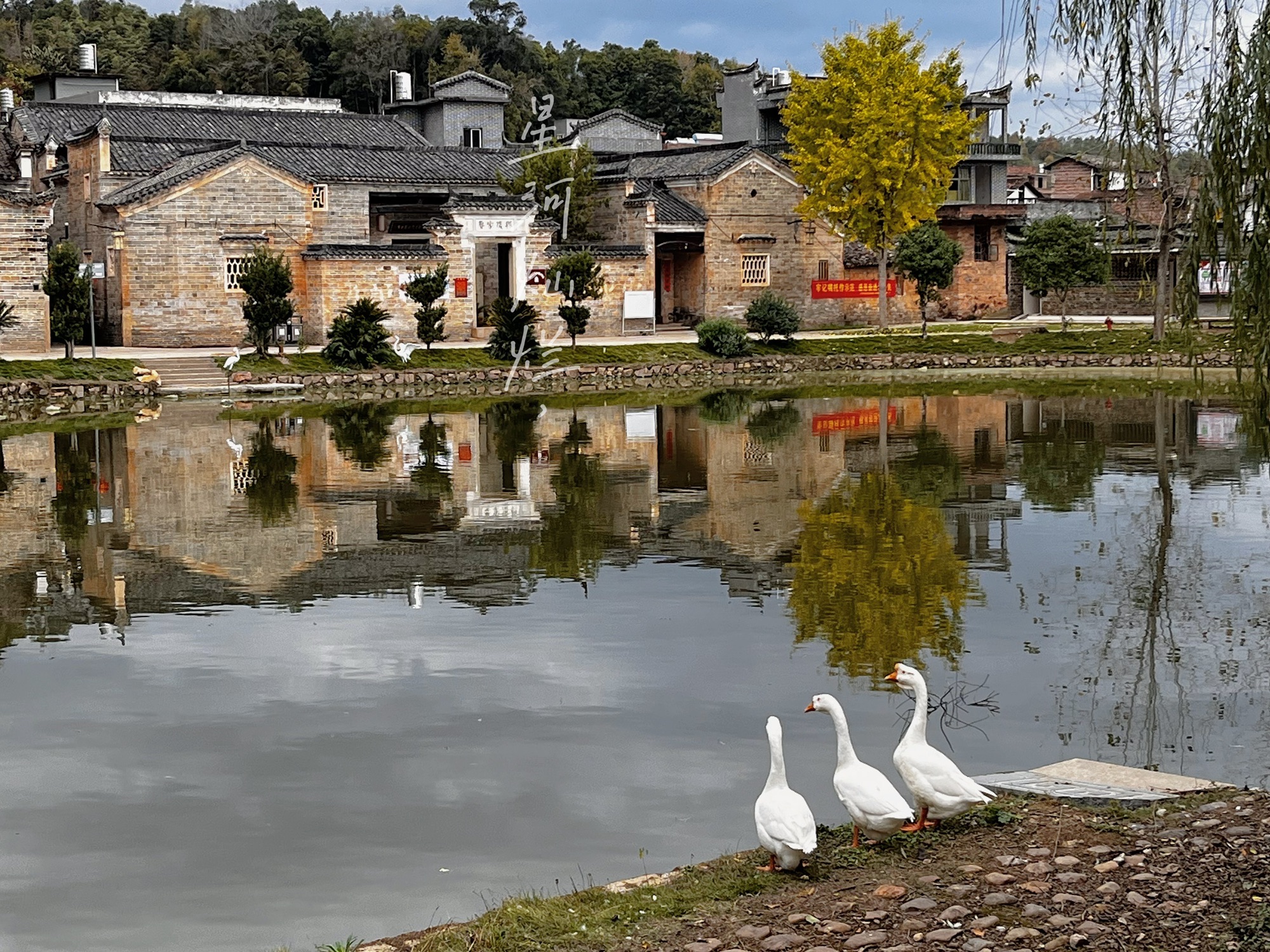 白鹭古村旅行图片 1