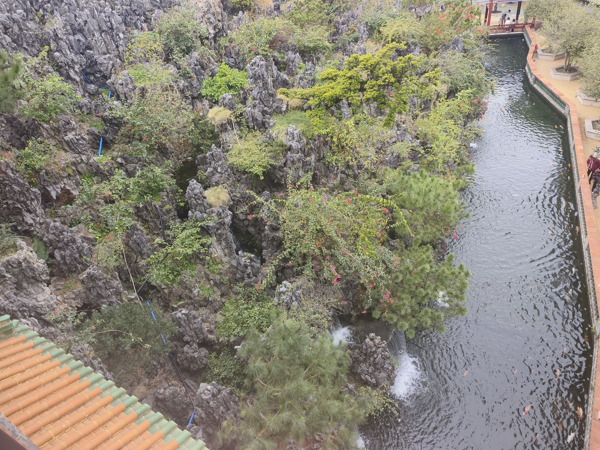池江文化广场旅行图片 1