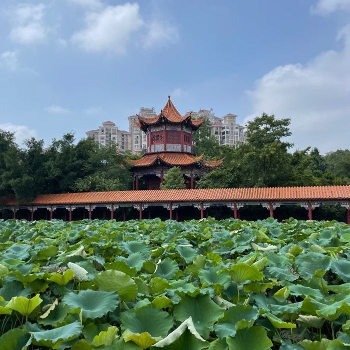 五龙客家风情园旅行图片 3