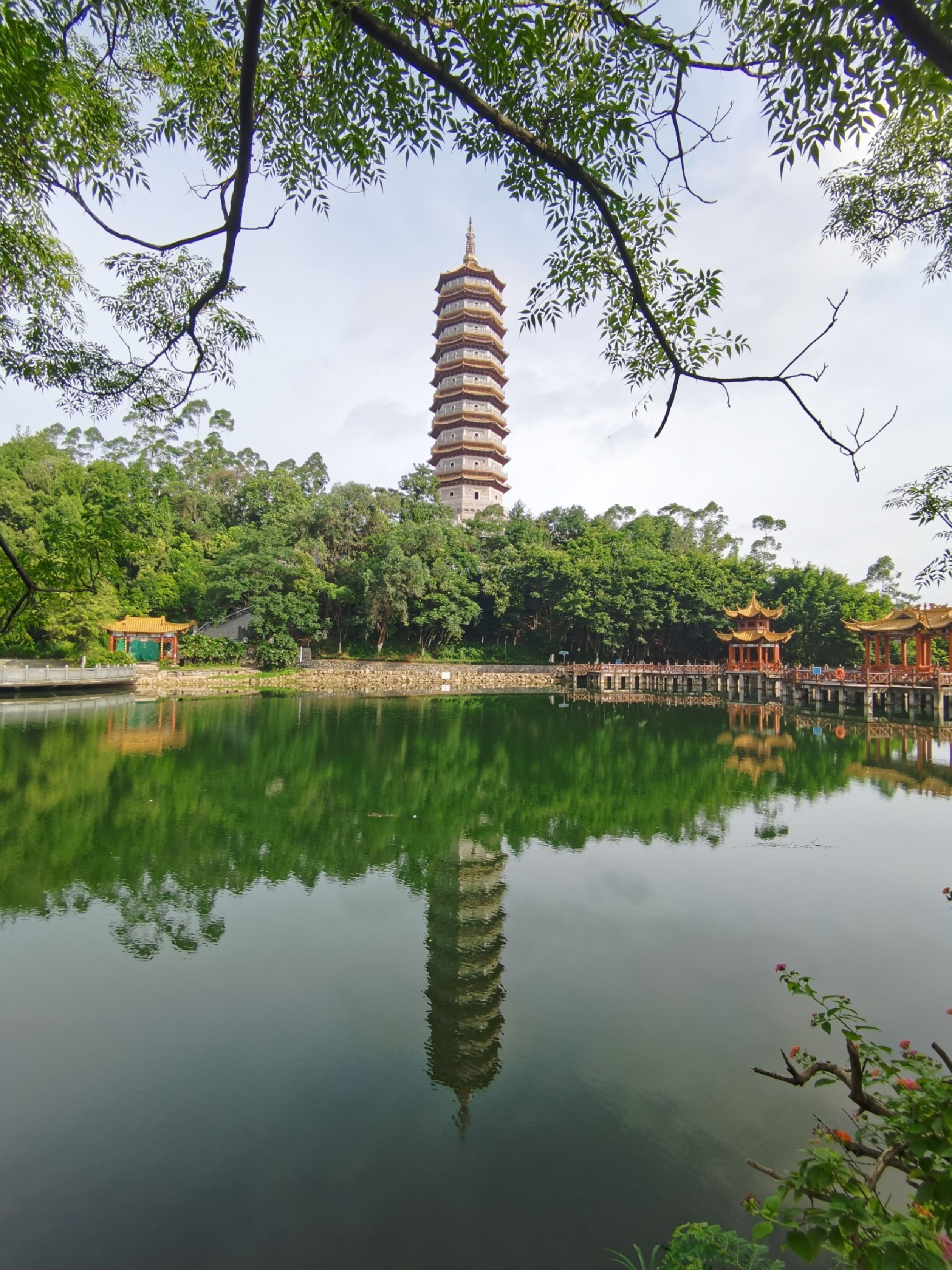 旭山公园旅行图片 1