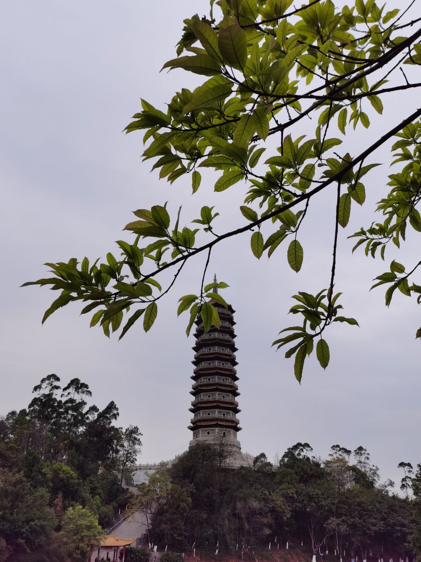 旭山公园旅行图片 1