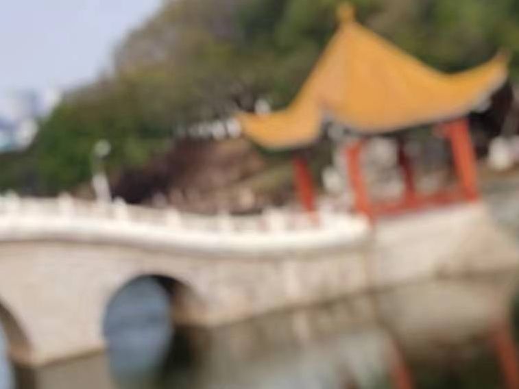 旭山公园旅行图片 3