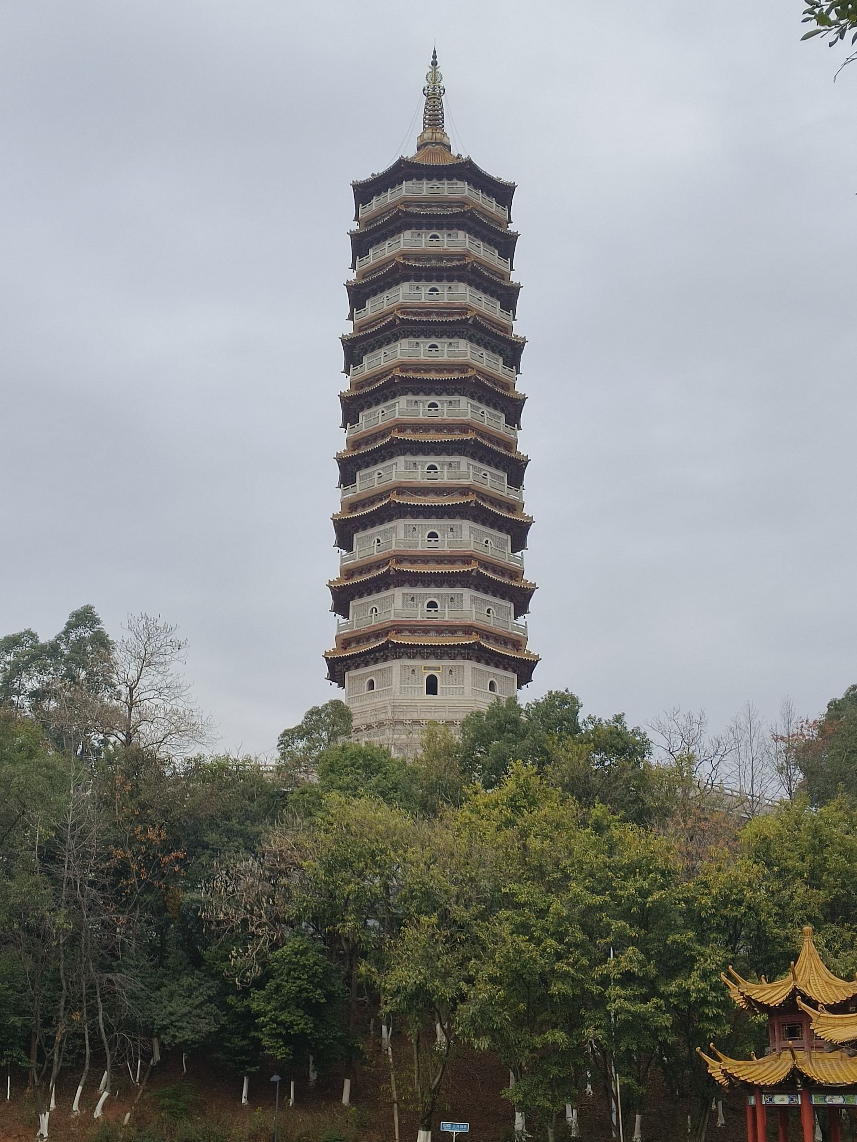 旭山公园旅行图片 1
