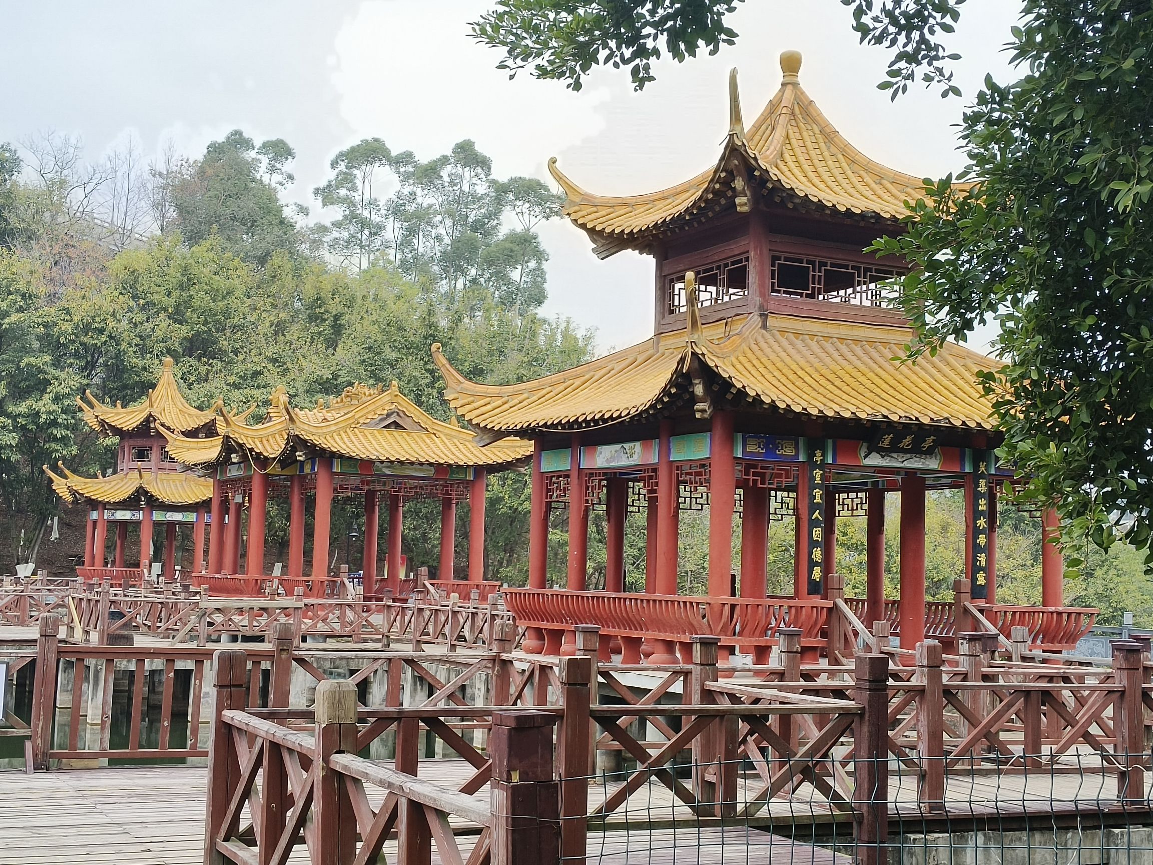 旭山公园旅行图片 2