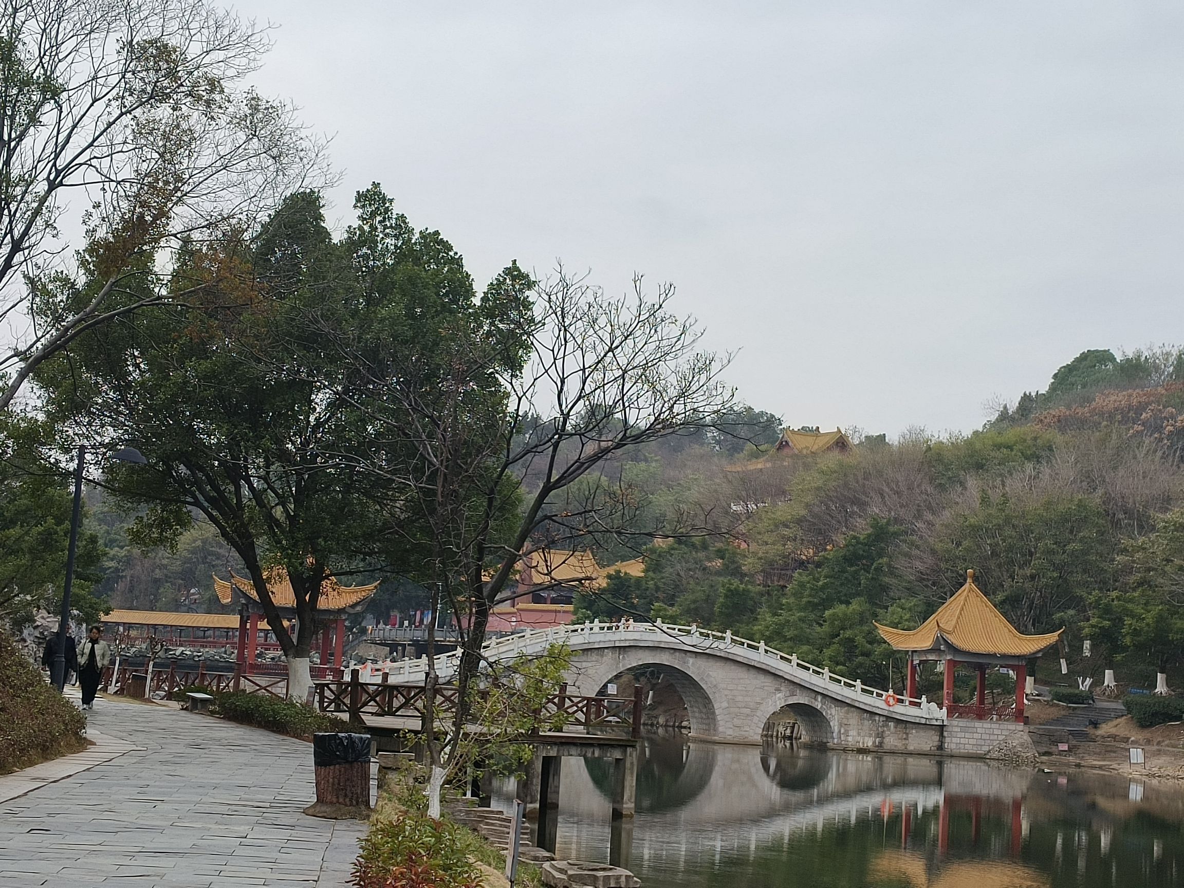 旭山公园旅行图片 3