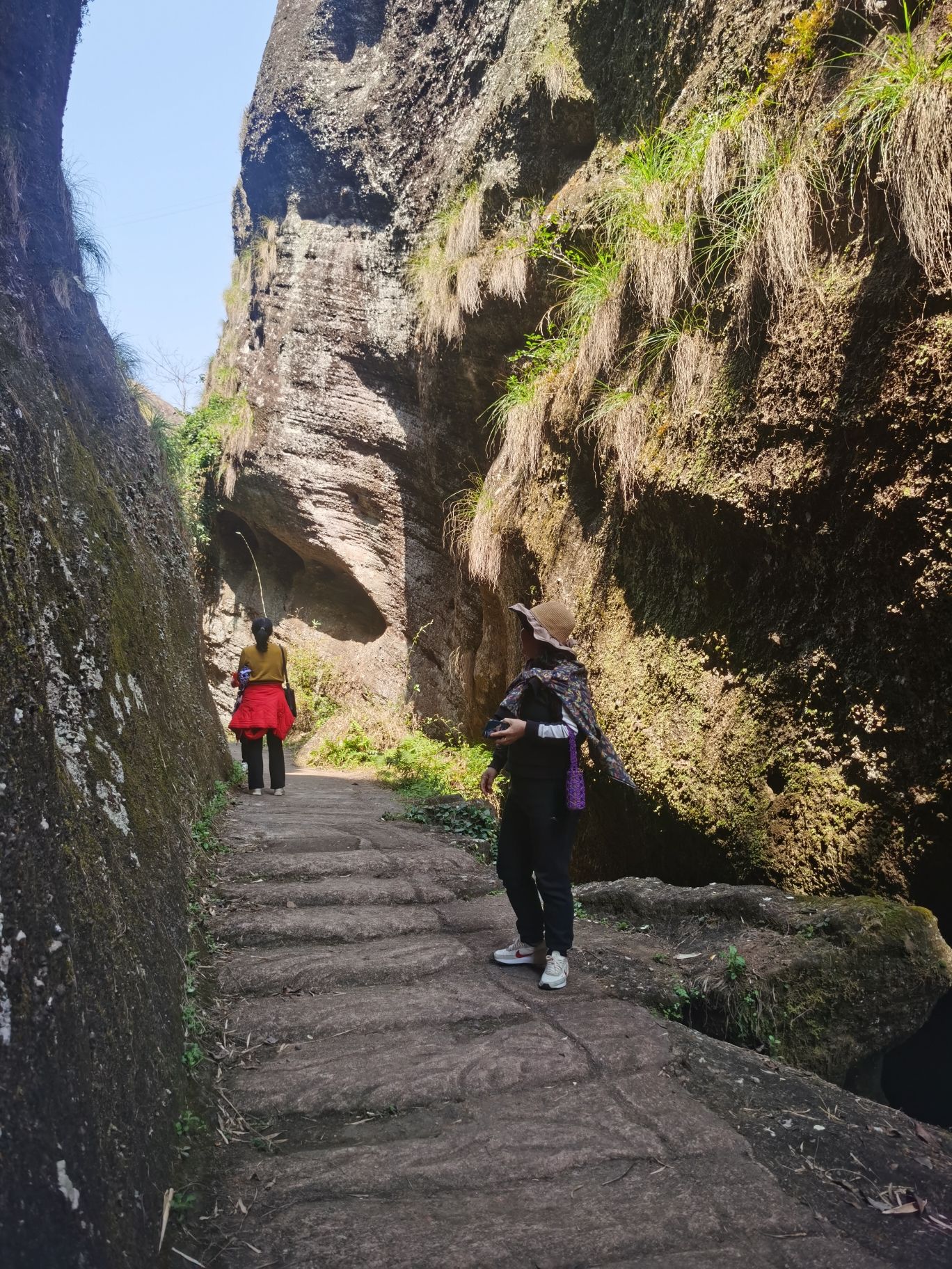 青龙岩风景区旅行图片 1