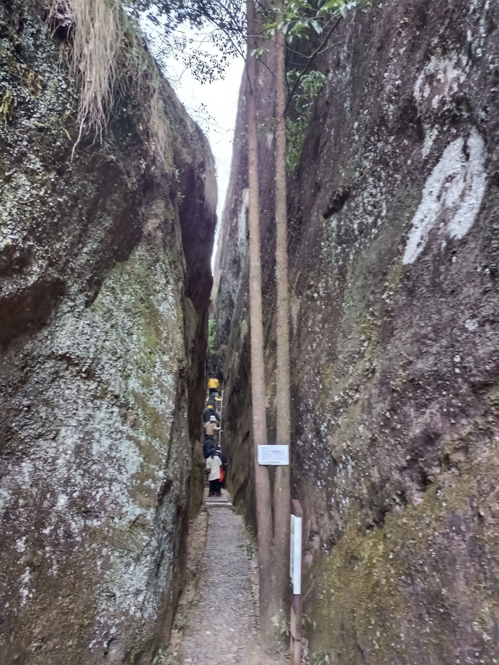 青龙岩风景区旅行图片 2