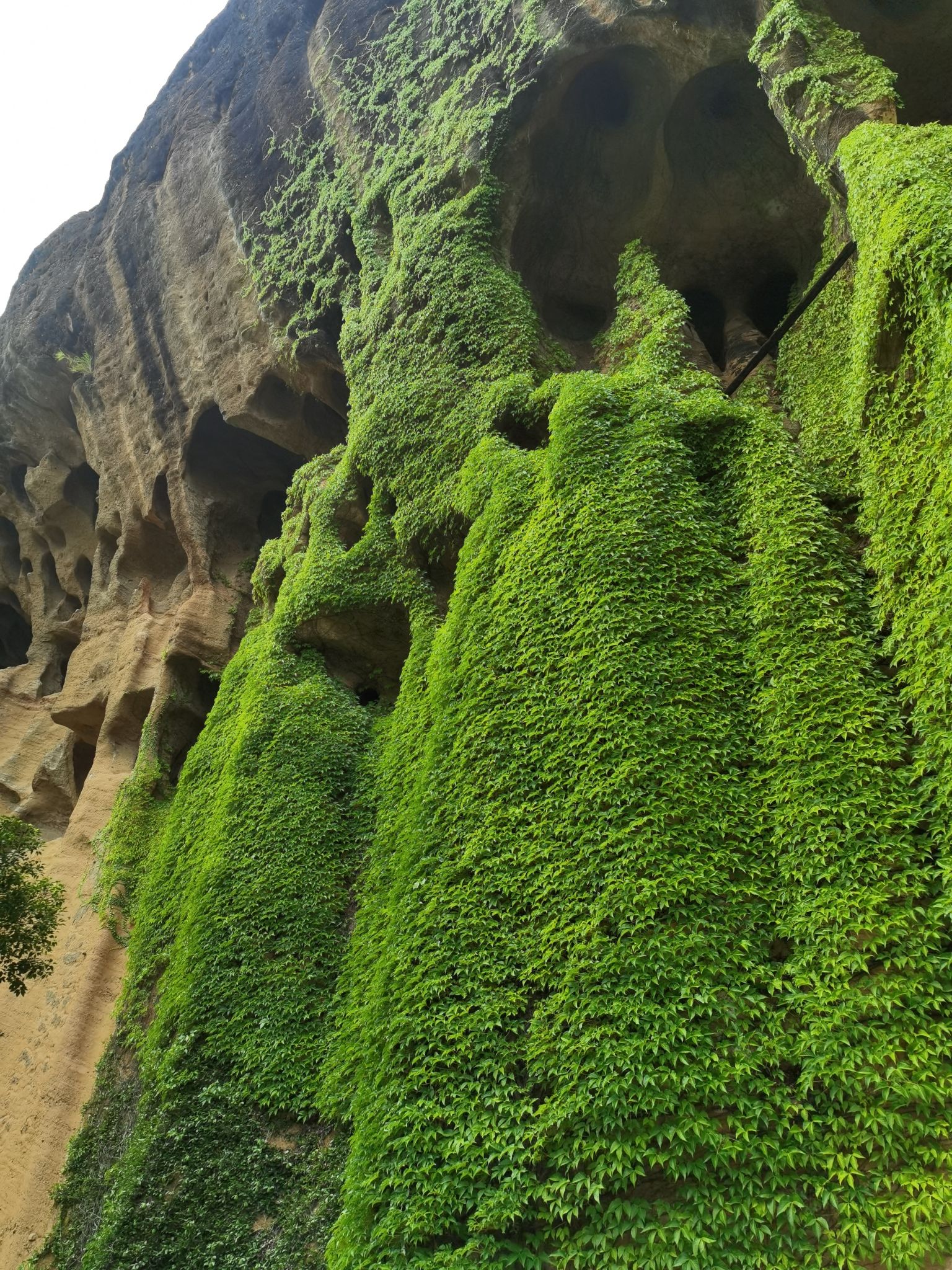 青龙岩风景区旅行图片 2
