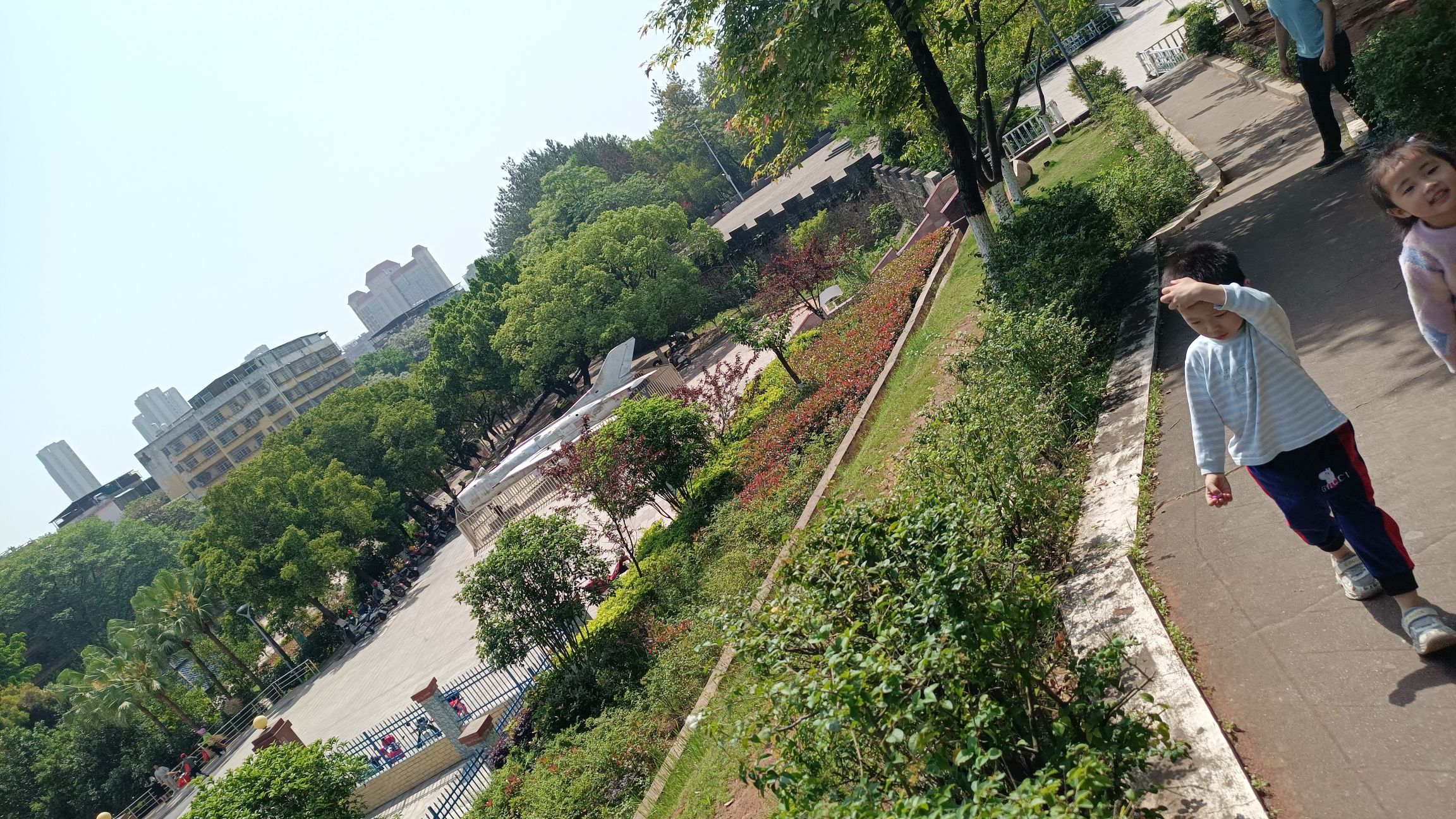 东山公园旅行图片 3