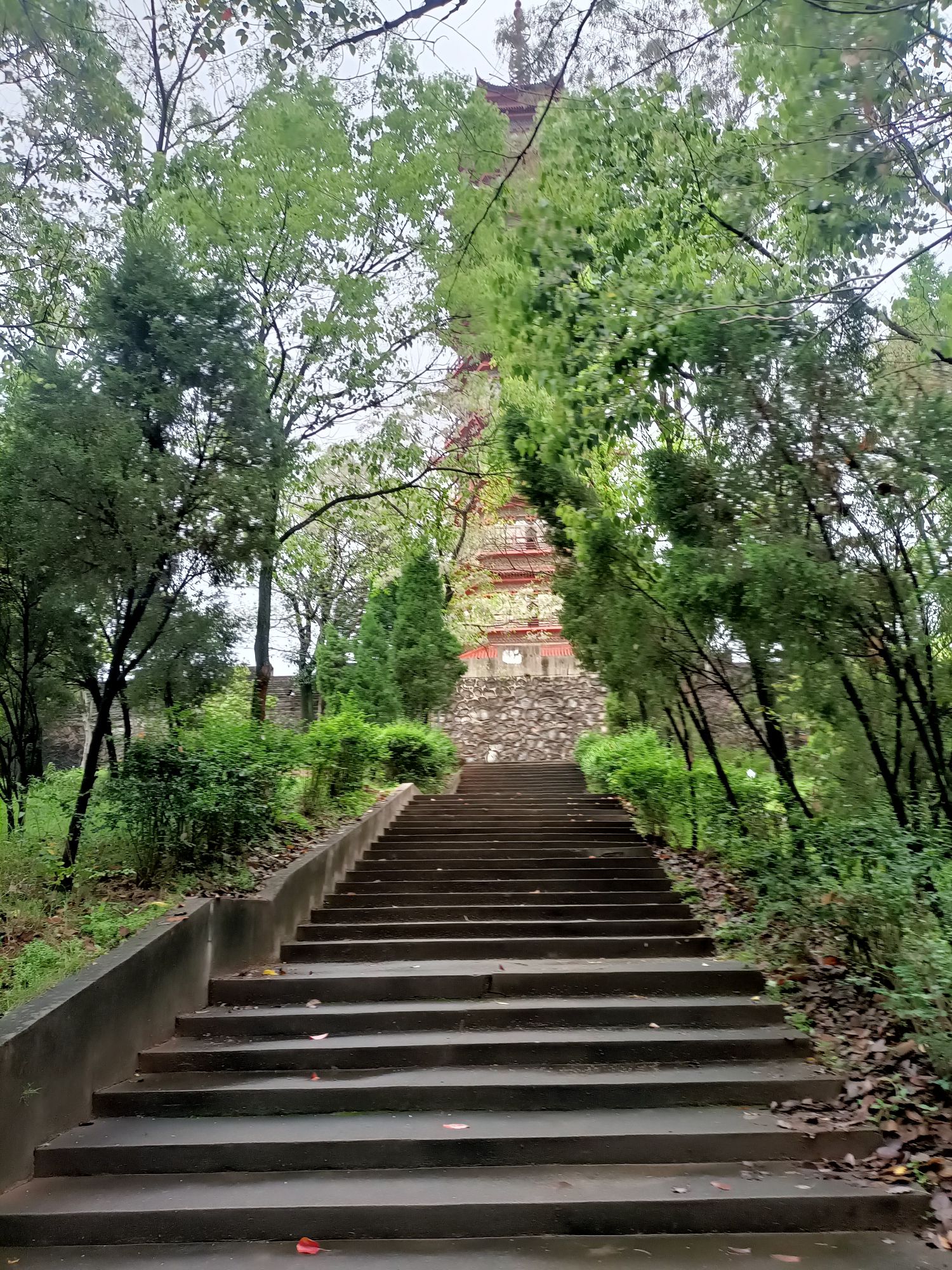 东山公园旅行图片 2