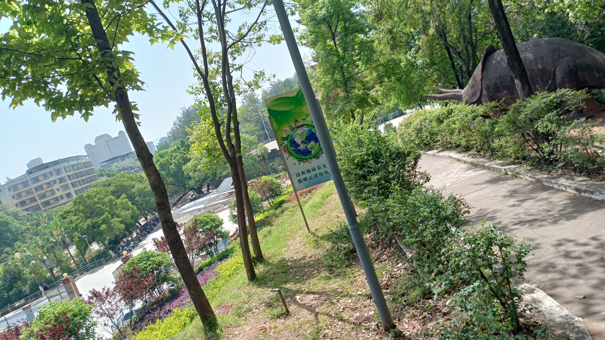 东山公园旅行图片 2