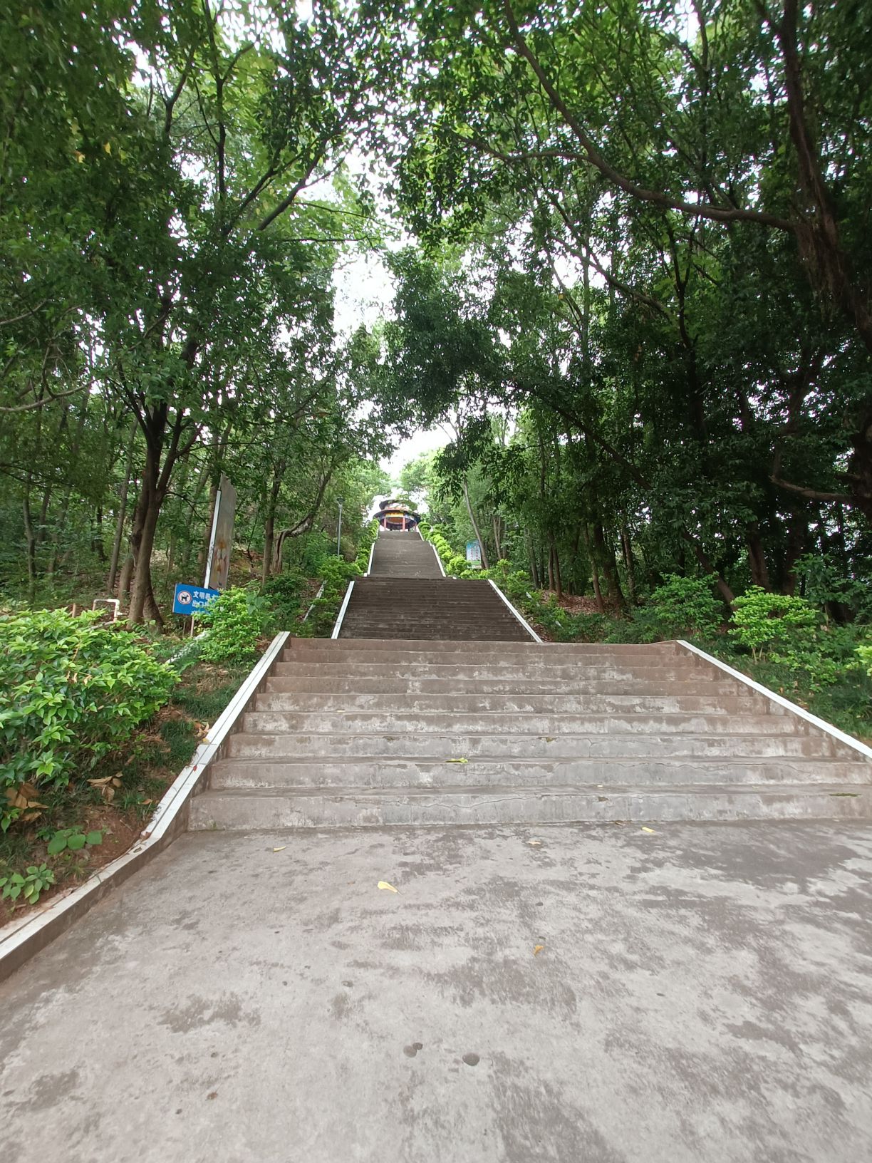 东山公园旅行图片 2