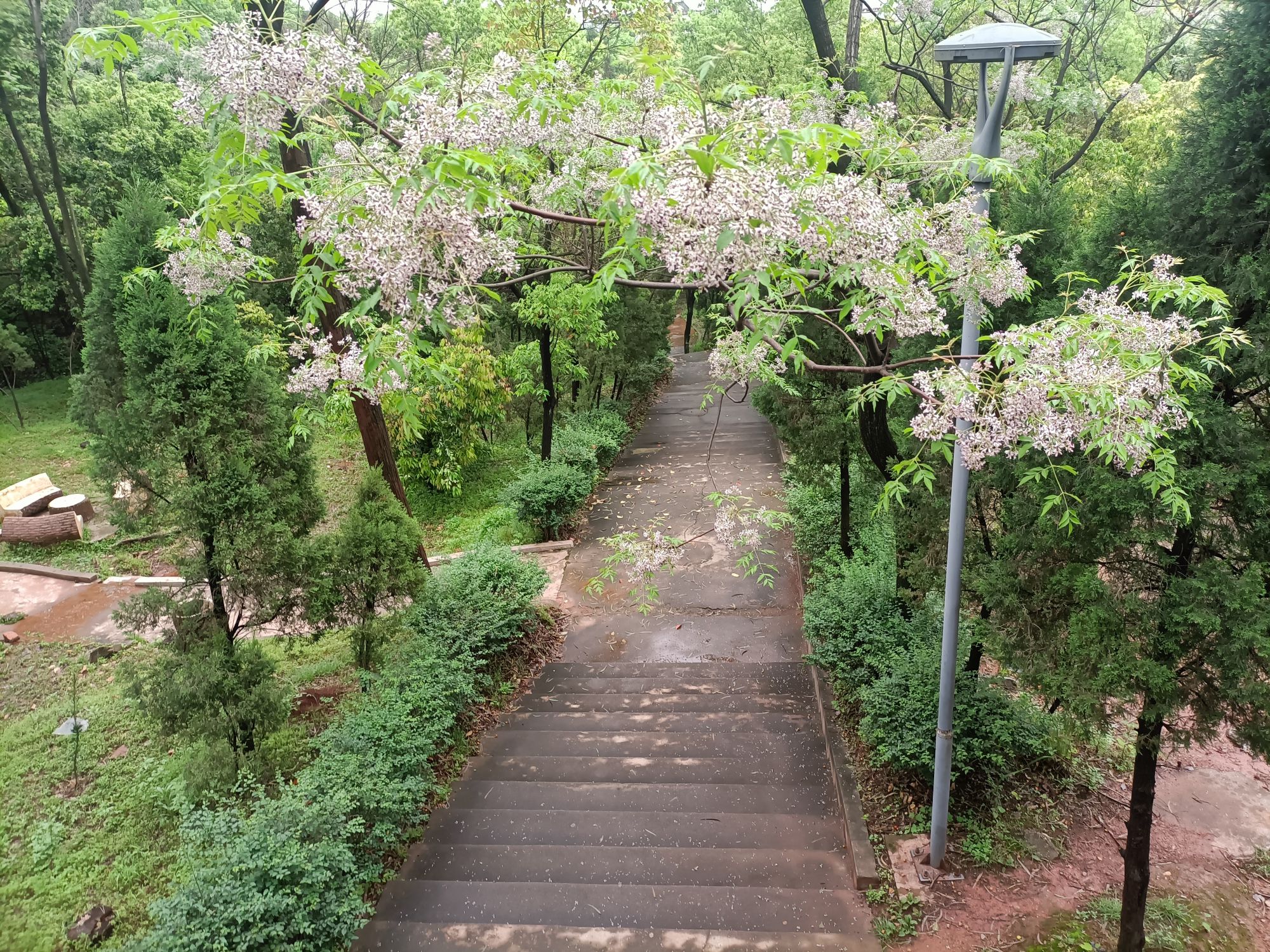东山公园旅行图片 3