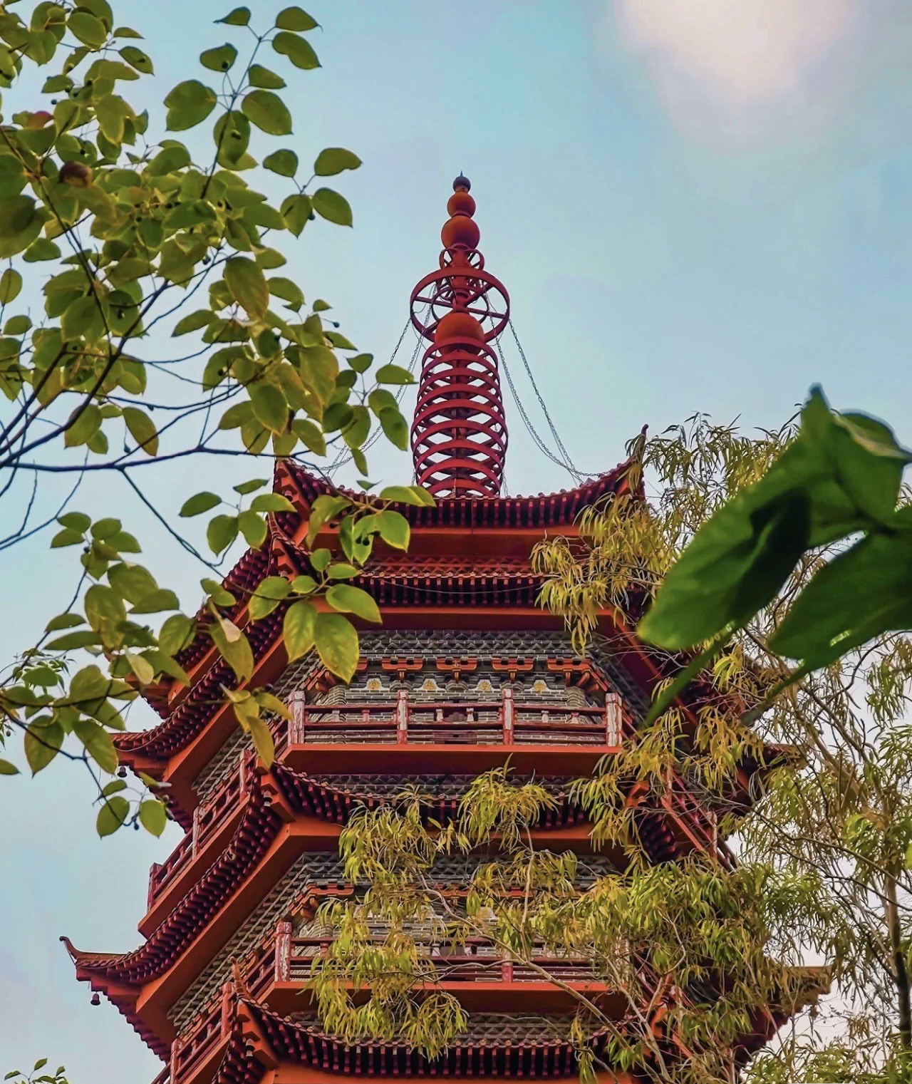 东山公园旅行图片 2