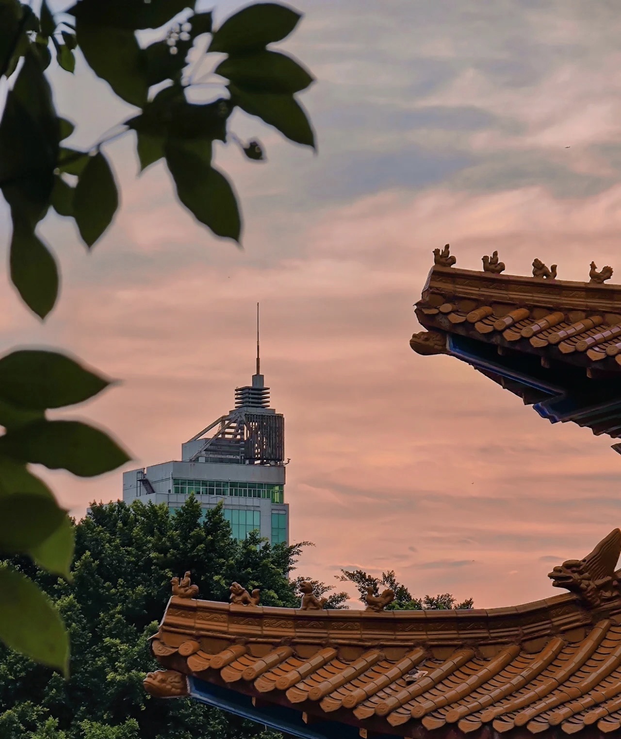 东山公园旅行图片 1