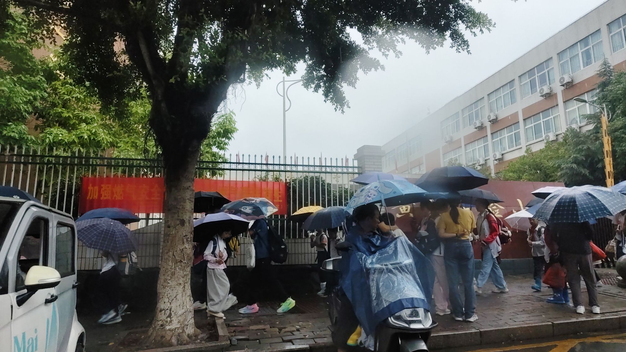 赣州市黄金实验小学