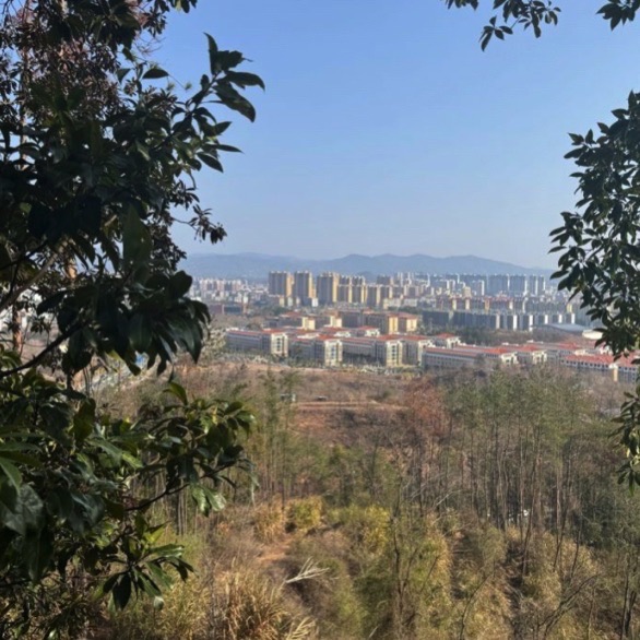 翠微峰国家森林公园旅行图片 1