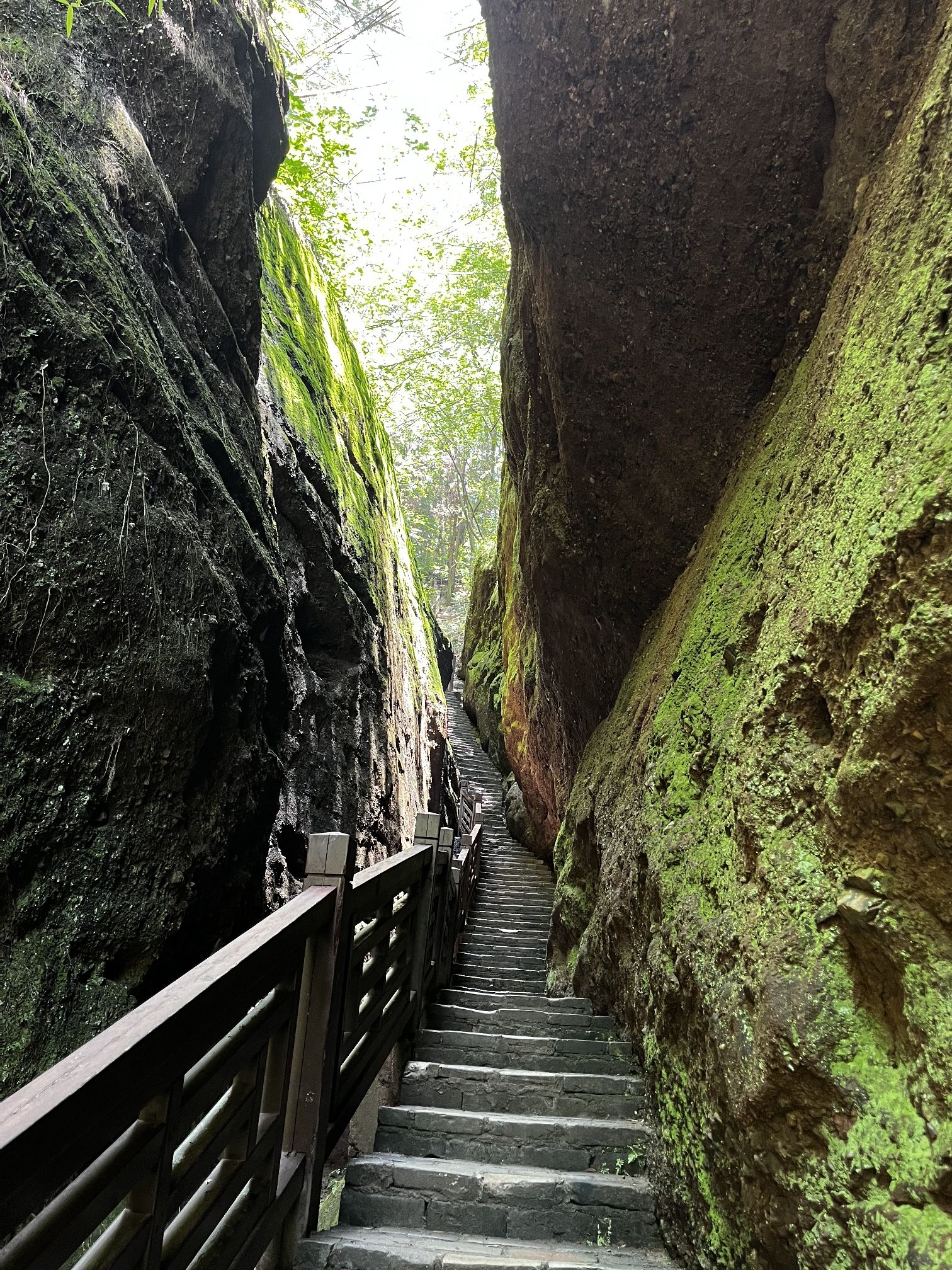 翠微峰国家森林公园旅行图片 2