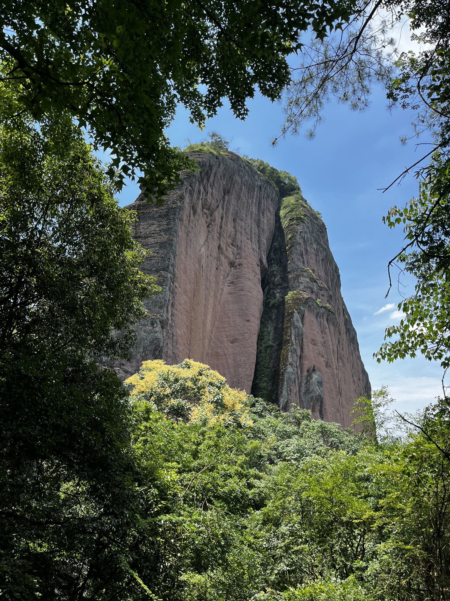 翠微峰国家森林公园旅行图片 3