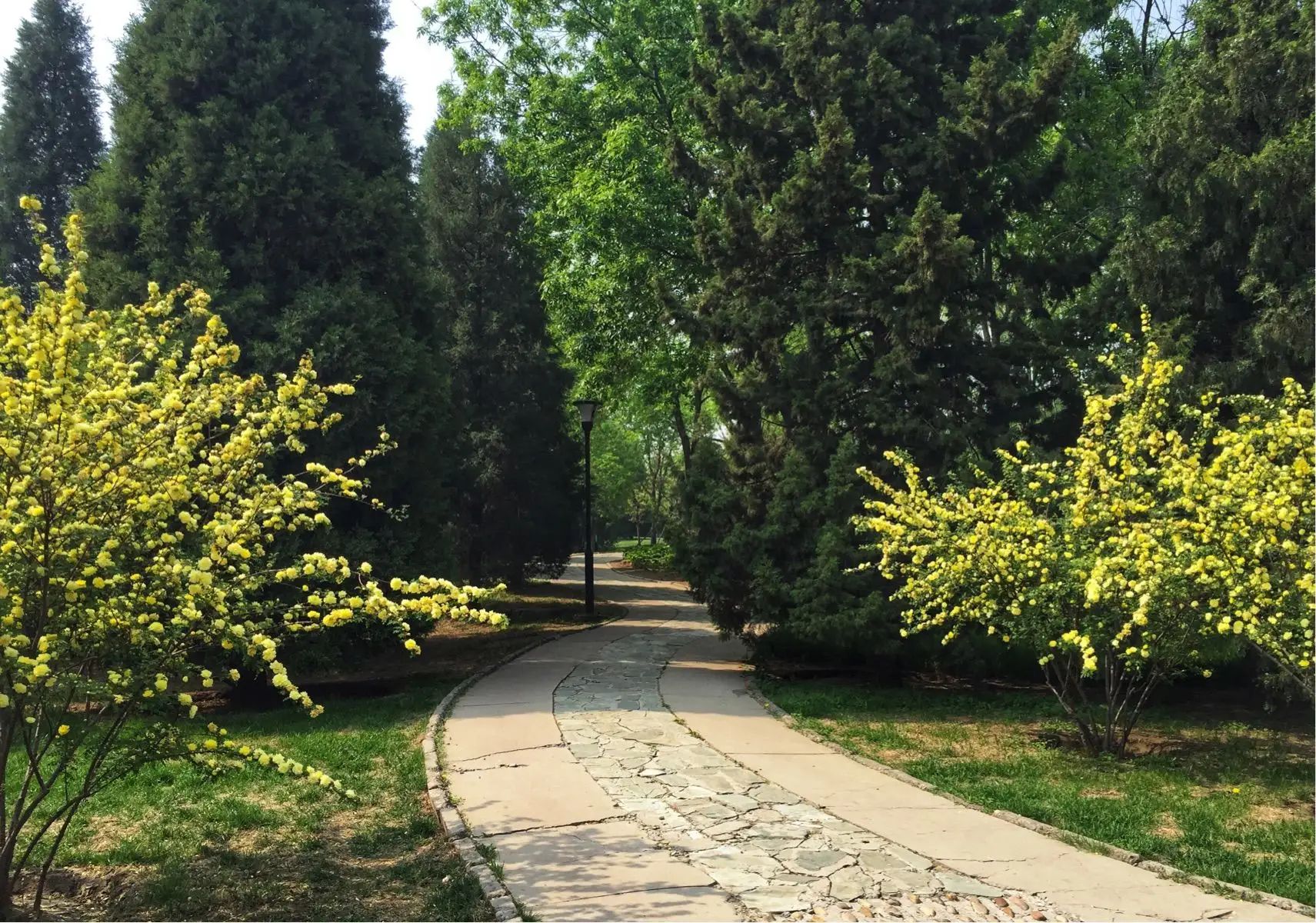 大余县街心花园旅行图片 1