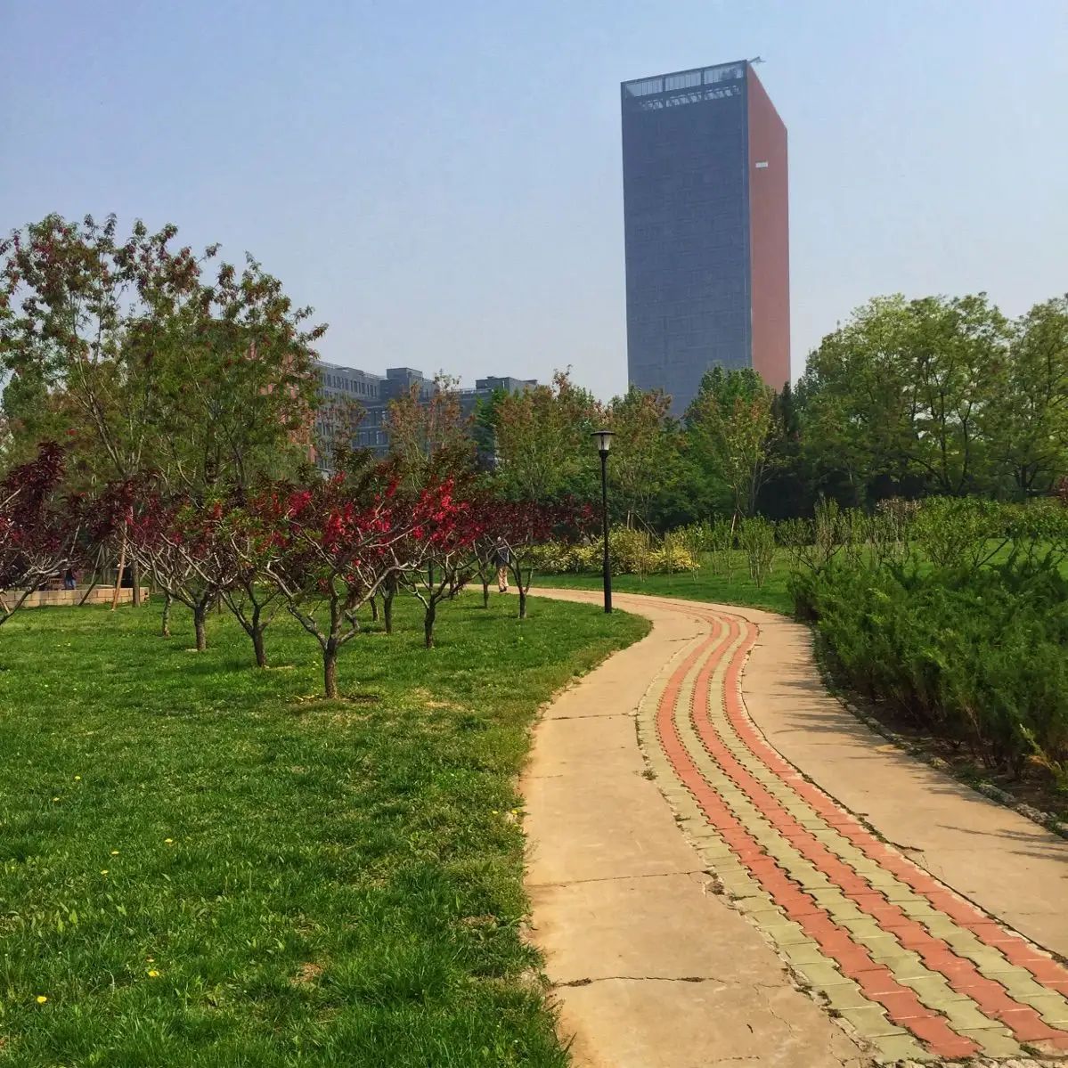 大余县街心花园旅行图片 3